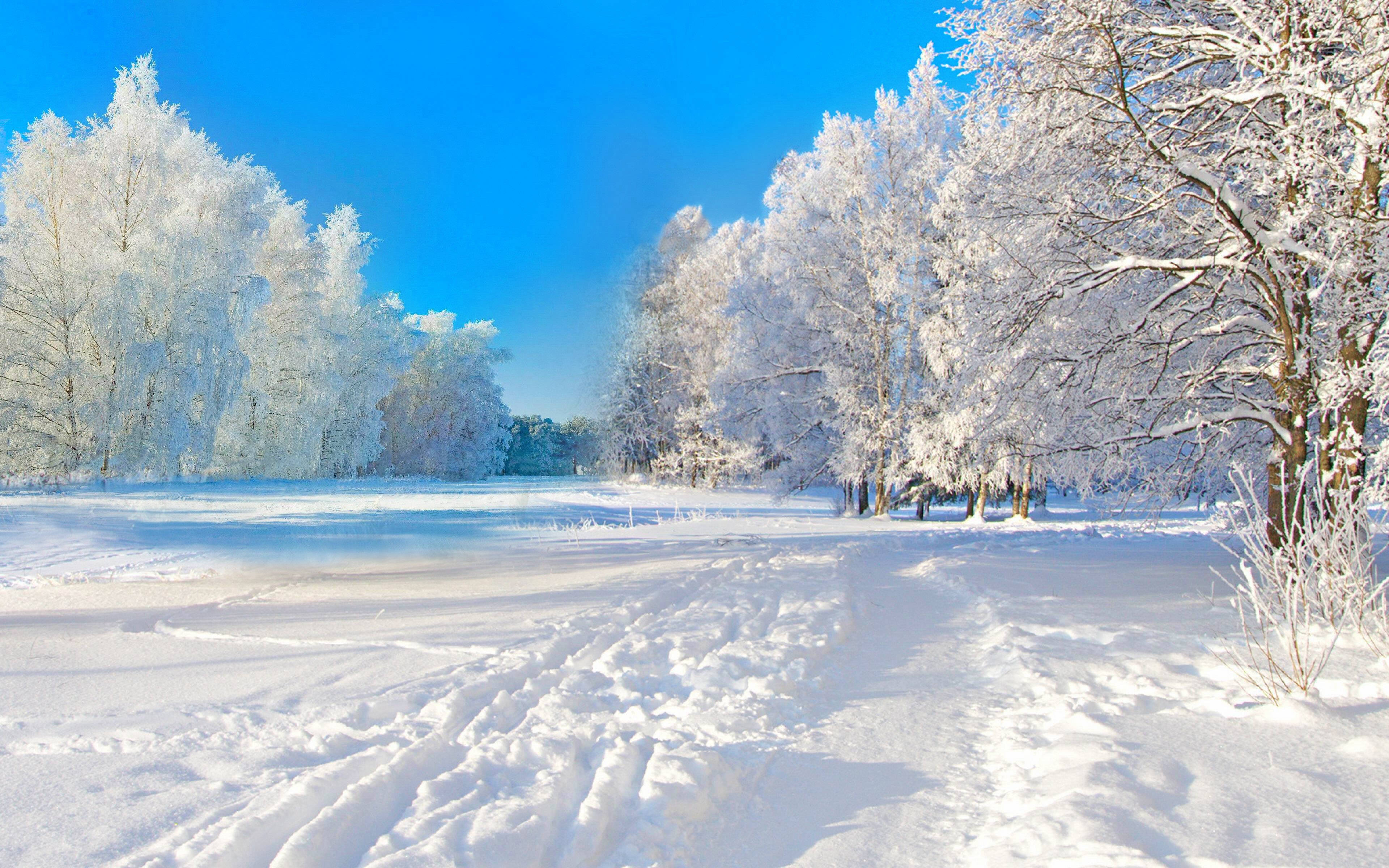 Desktop home screen Wallpaper blue, scenic, tree, earth Snow