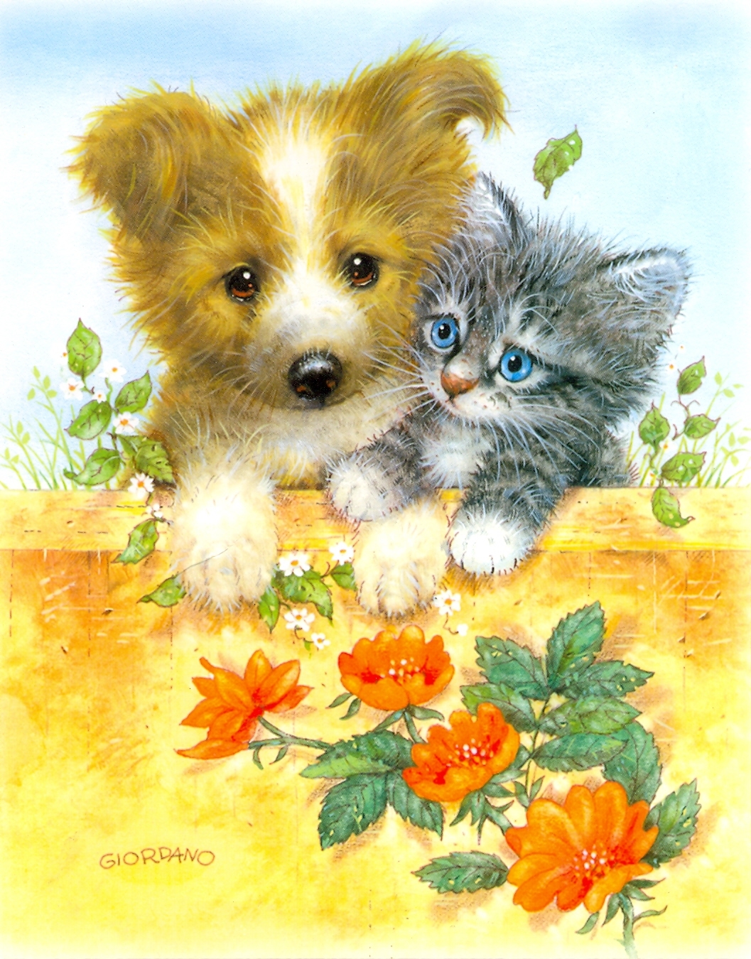 pictures, animals, cats, dogs, yellow 32K