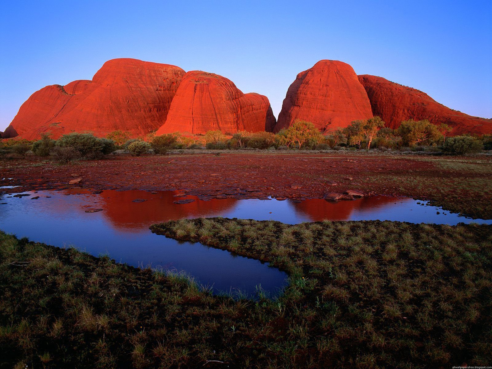 77401 Hintergrundbild herunterladen natur, wasser, grass, land, erde, schluchten, australien - Bildschirmschoner und Bilder kostenlos