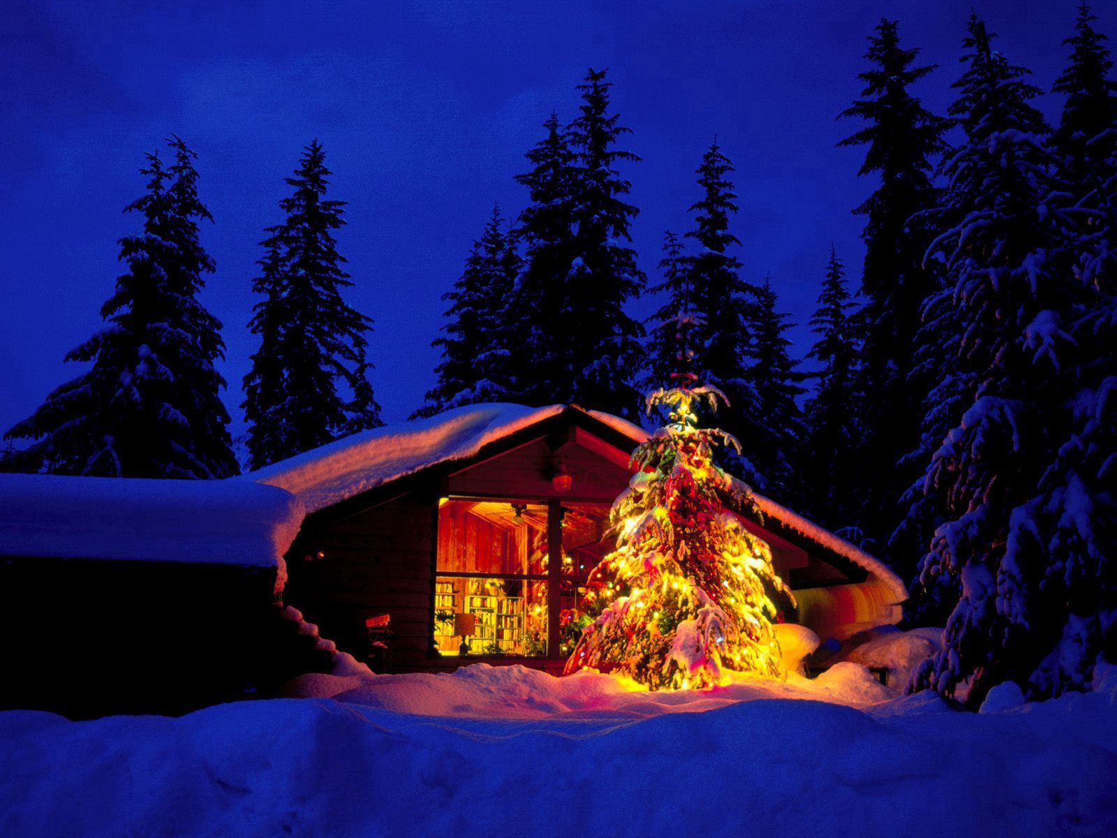 christmas, christmas tree, holidays, new year, lights, house, window, view HD wallpaper