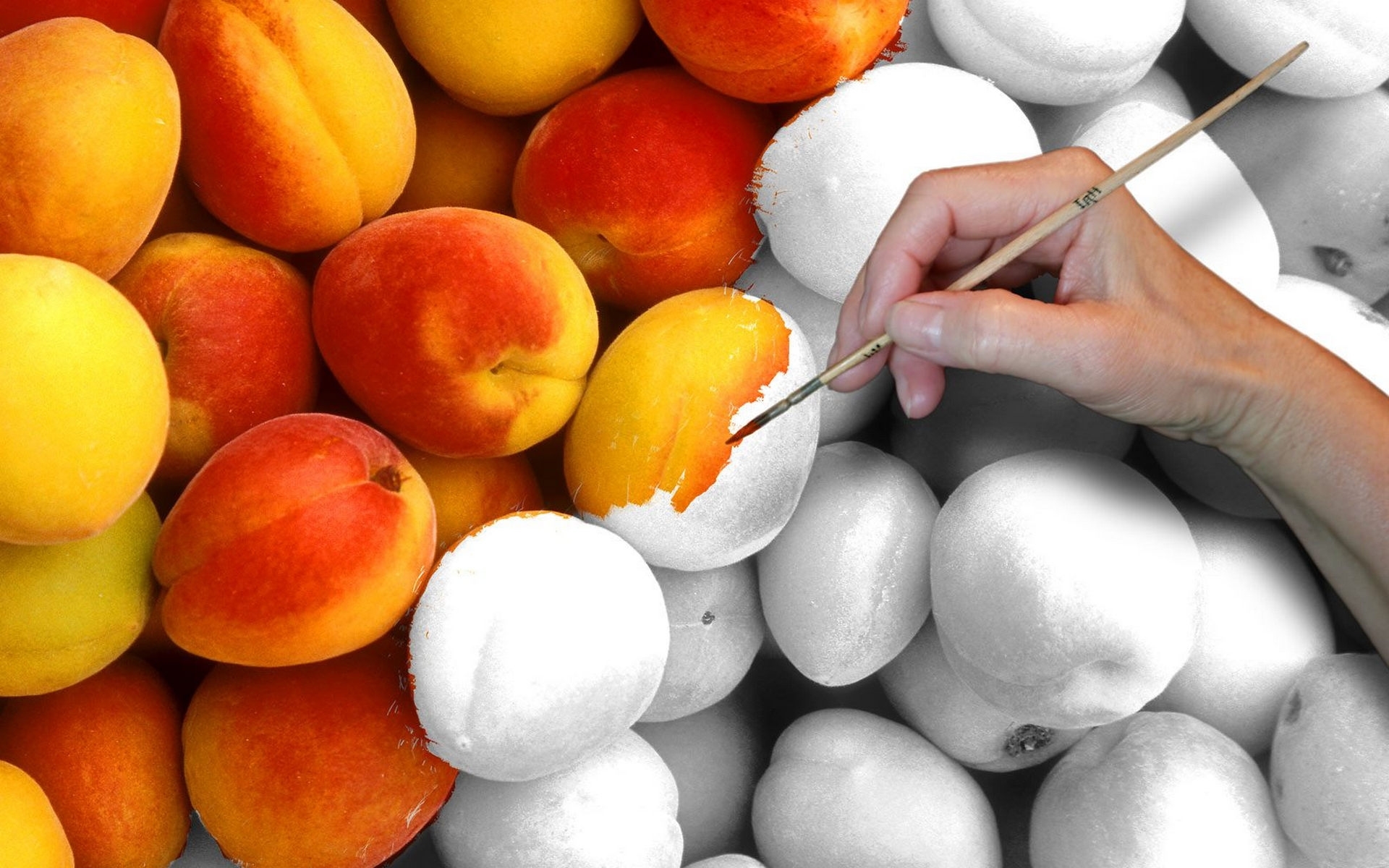 Laden Sie das Obst, Hintergrund, Kunst, Pfirsiche-Bild kostenlos auf Ihren PC-Desktop herunter