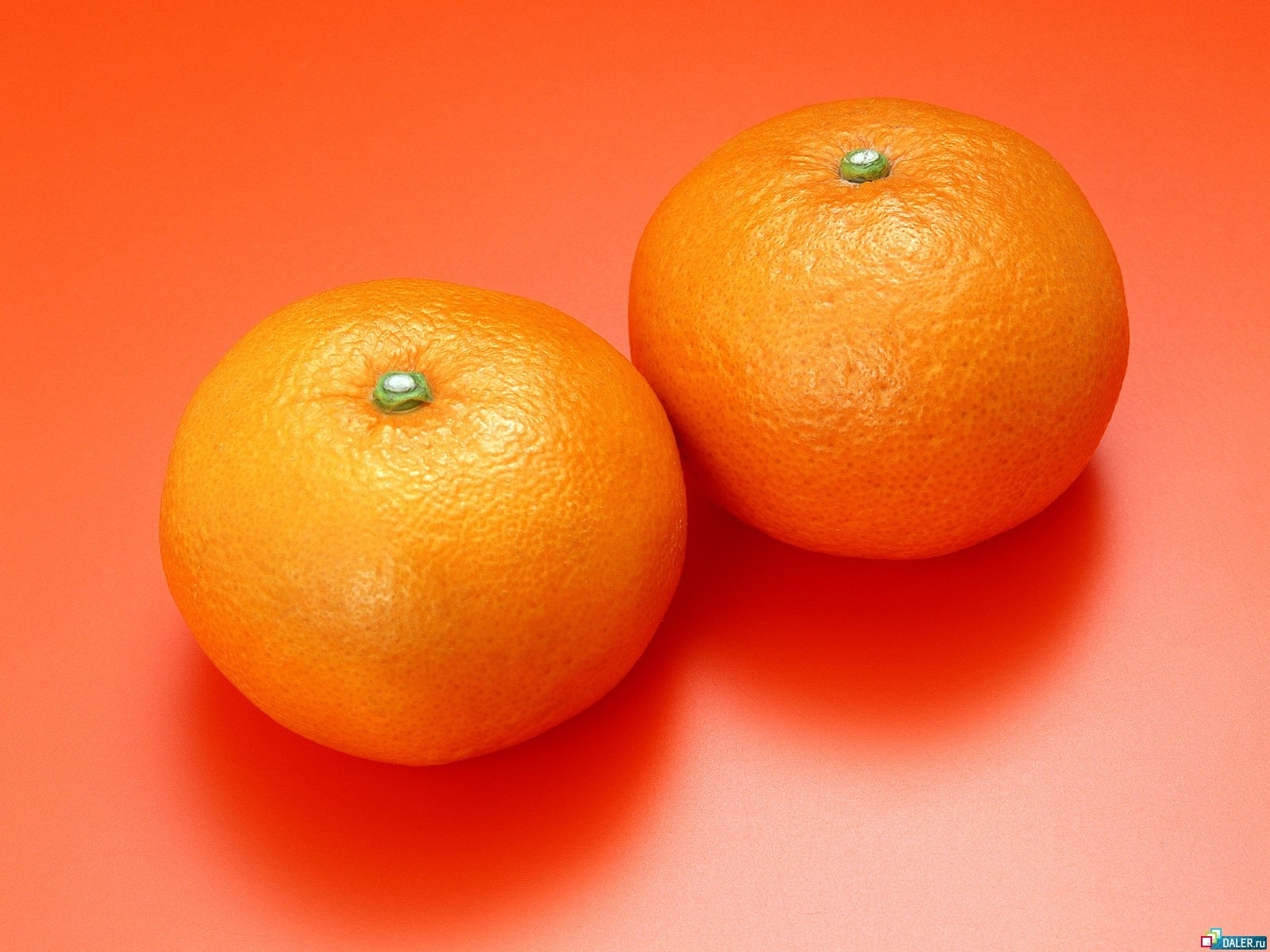 Best Tangerines mobile Picture