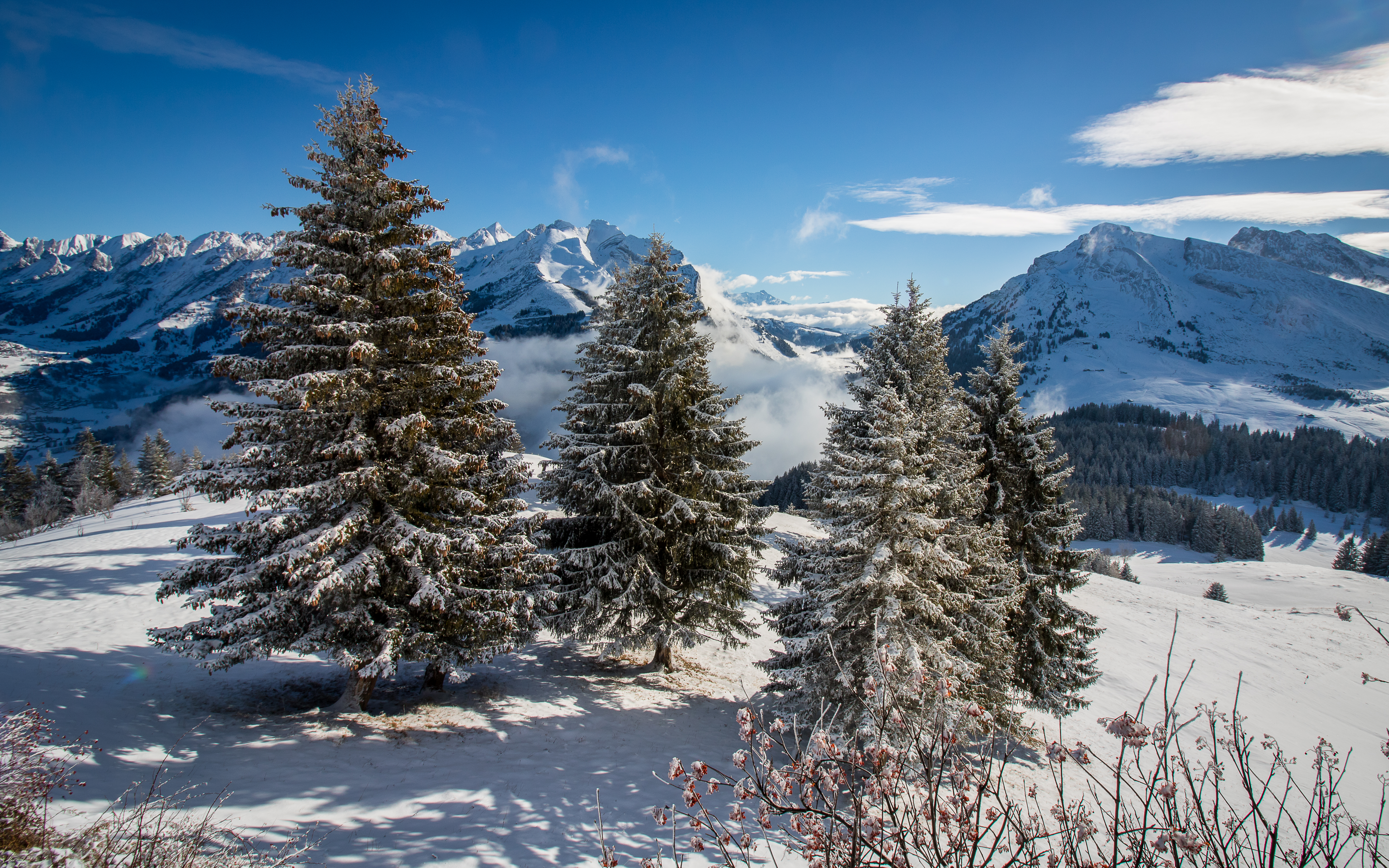 147640 Hintergrundbild herunterladen schnee, natur, mountains, fichte, fir - Bildschirmschoner und Bilder kostenlos