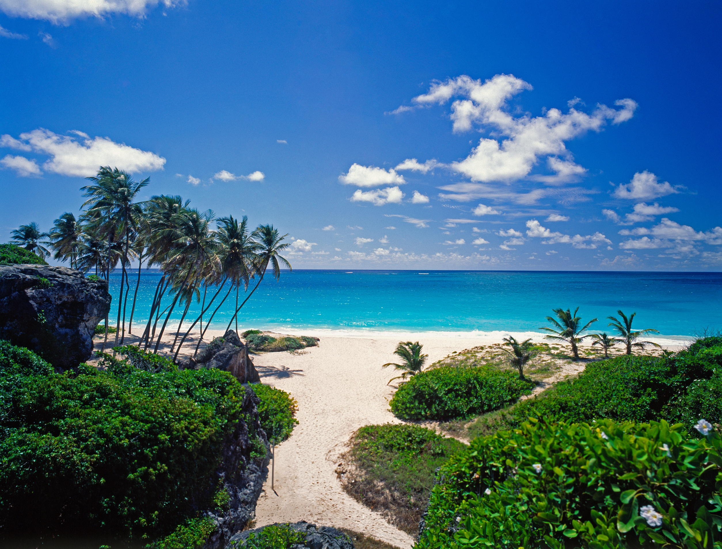 Laden Sie das Palms, Natur, Sea, Sand-Bild kostenlos auf Ihren PC-Desktop herunter