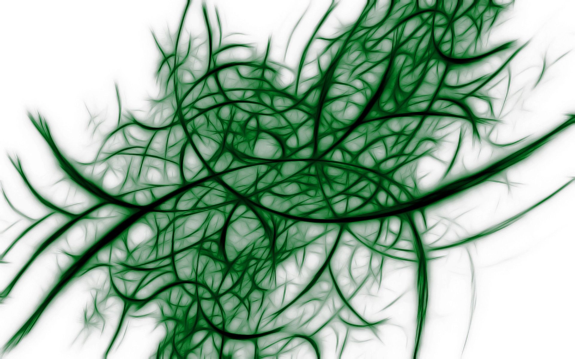 grid, abstract, shadow, plexus, seaweed, algae cellphone