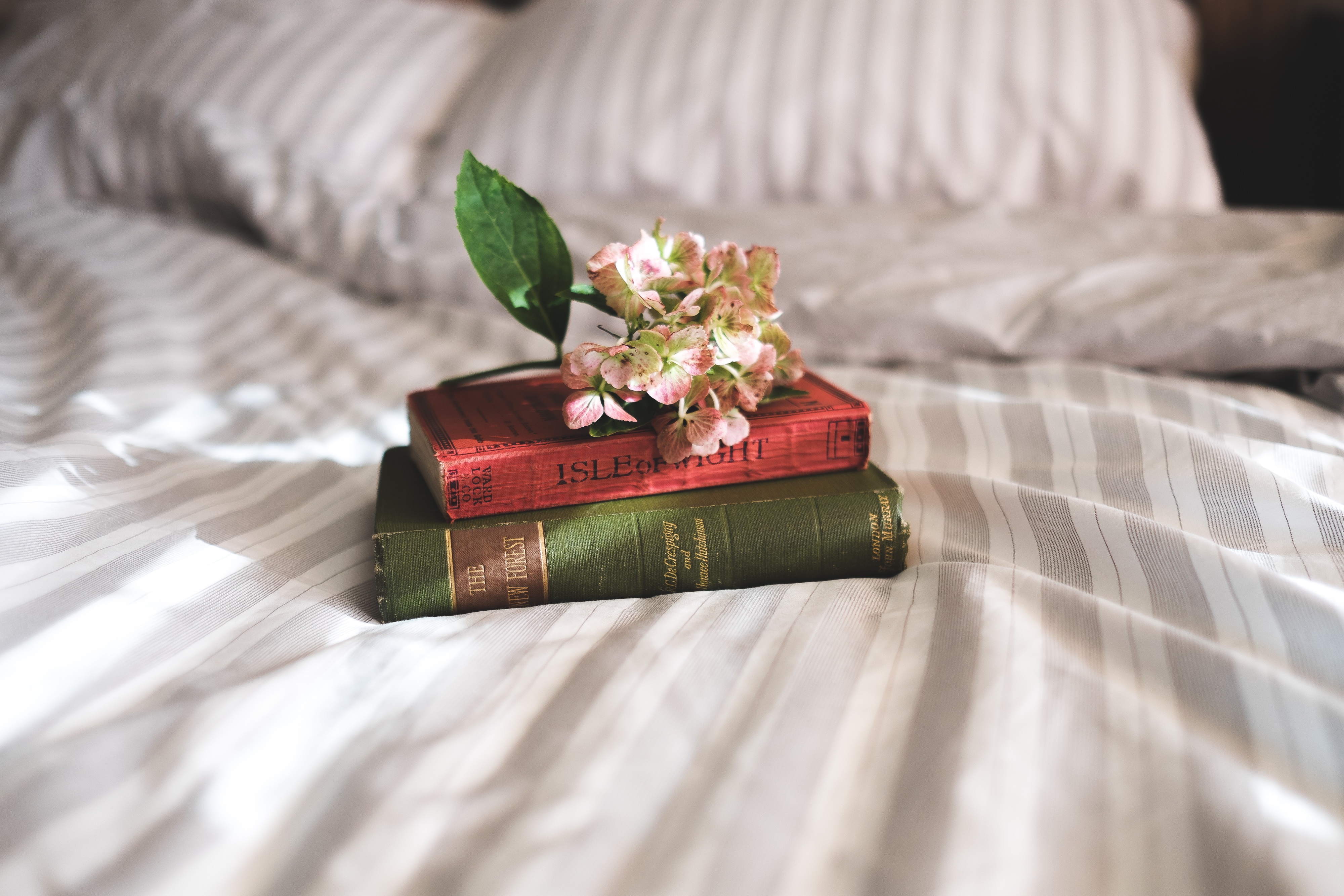 books, inspiration, flowers, miscellanea, miscellaneous, bed