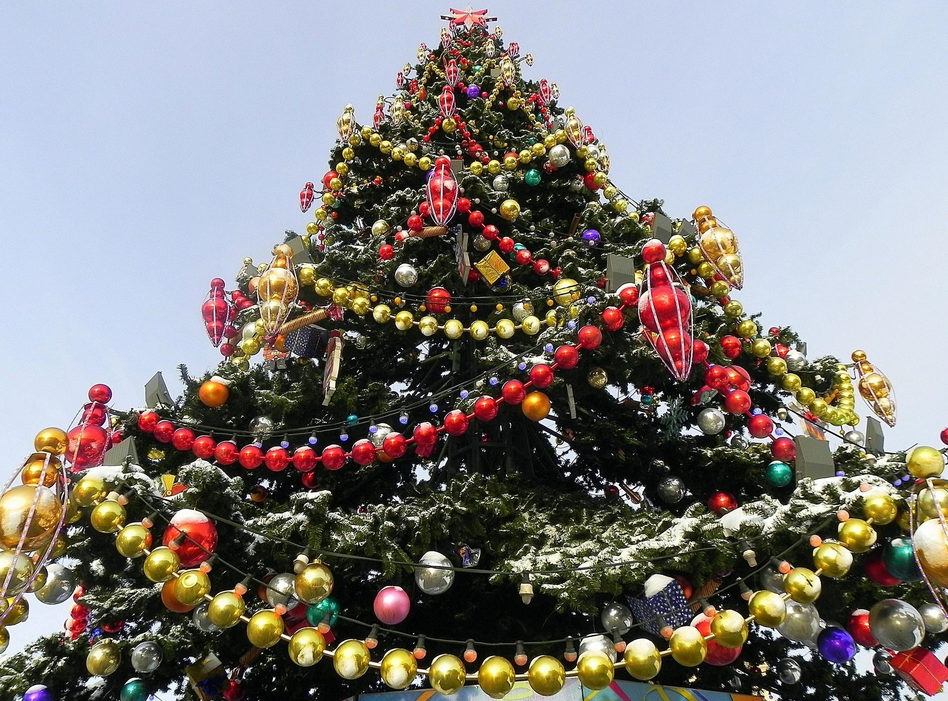 Phone Wallpaper christmas tree, new year, holiday, holidays