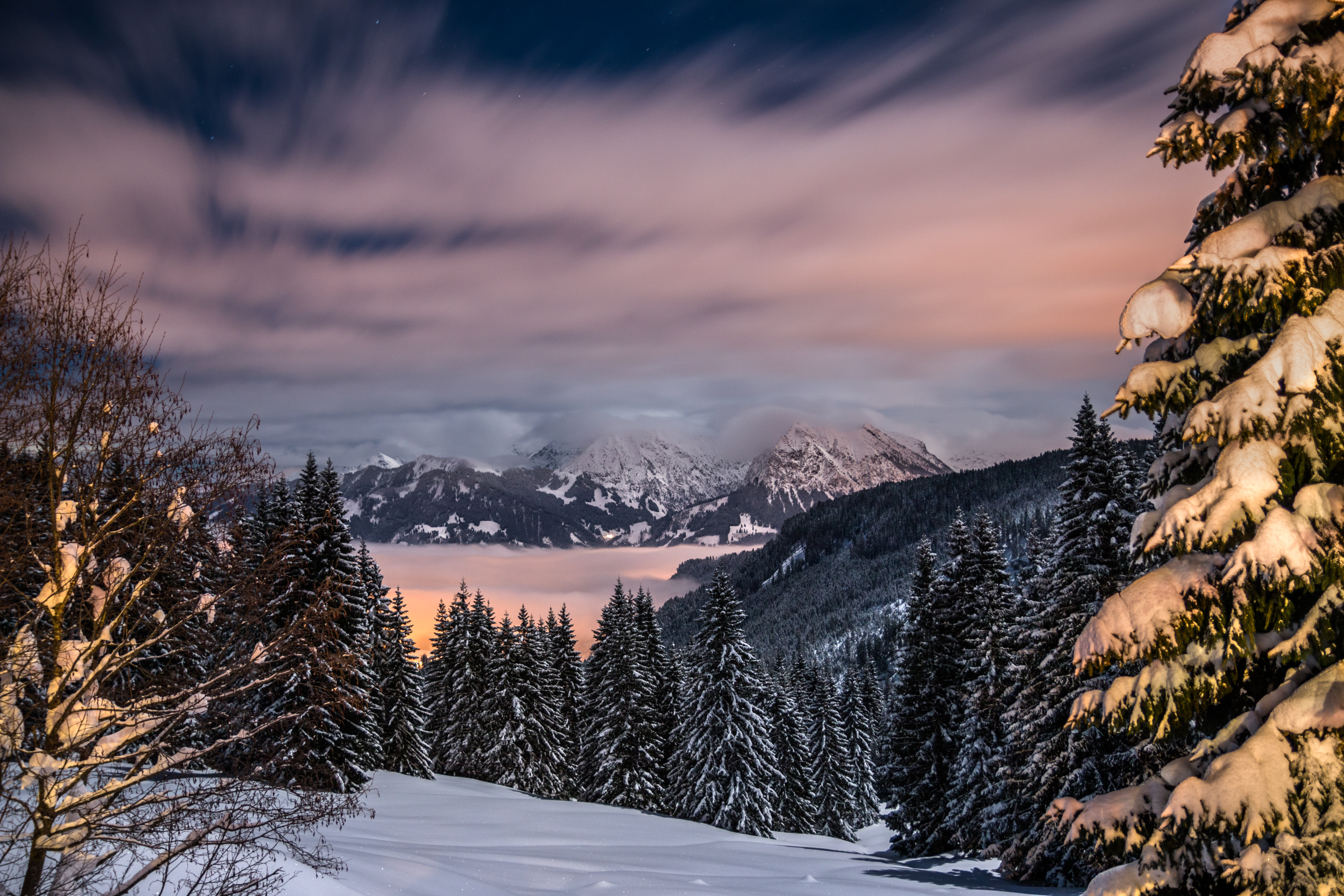 136330 Bild herunterladen winter, natur, bäume, mountains, schnee, deutschland, bayern - Hintergrundbilder und Bildschirmschoner kostenlos