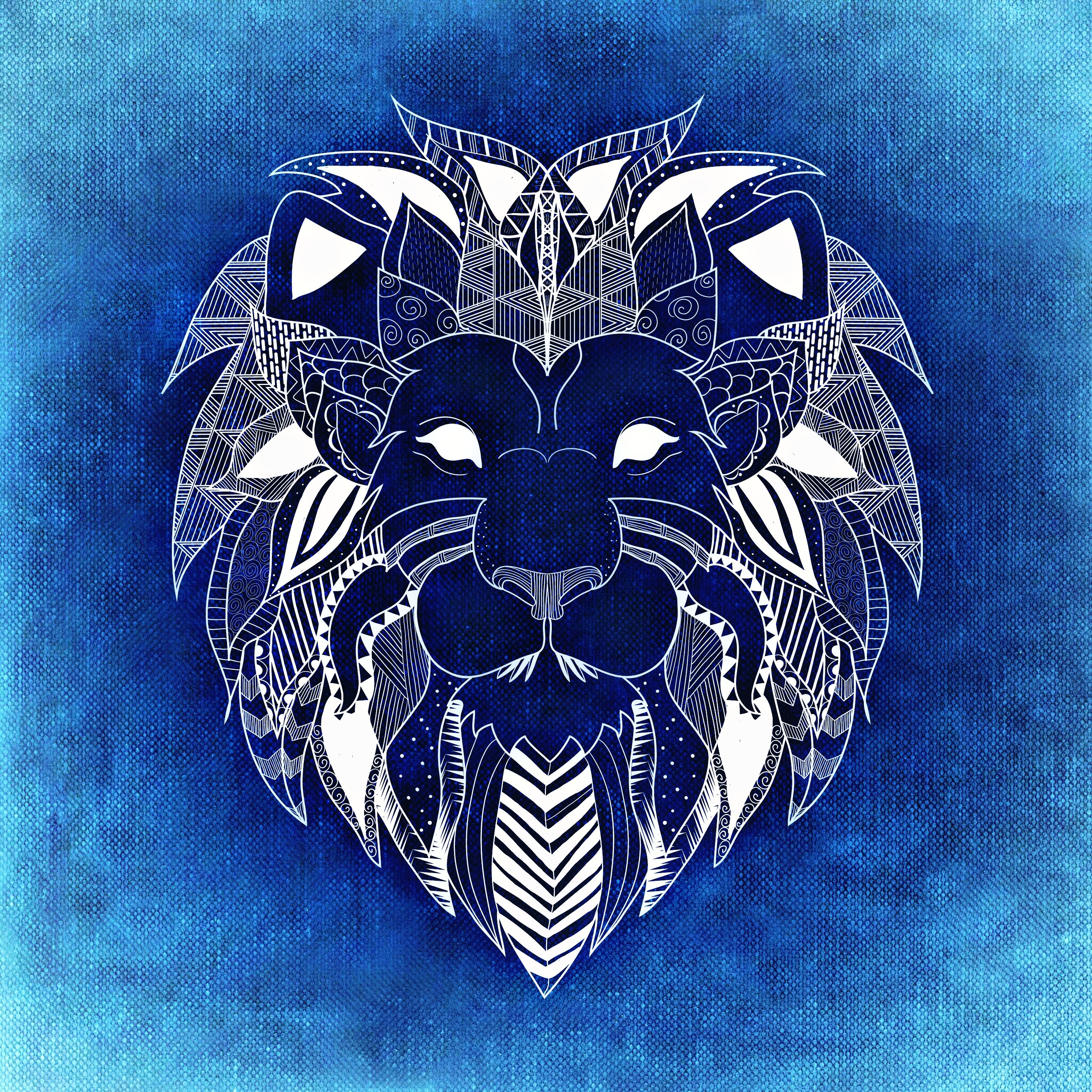 Laden Sie das Patterns, Kunst, Löwe, Ein Löwe-Bild kostenlos auf Ihren PC-Desktop herunter