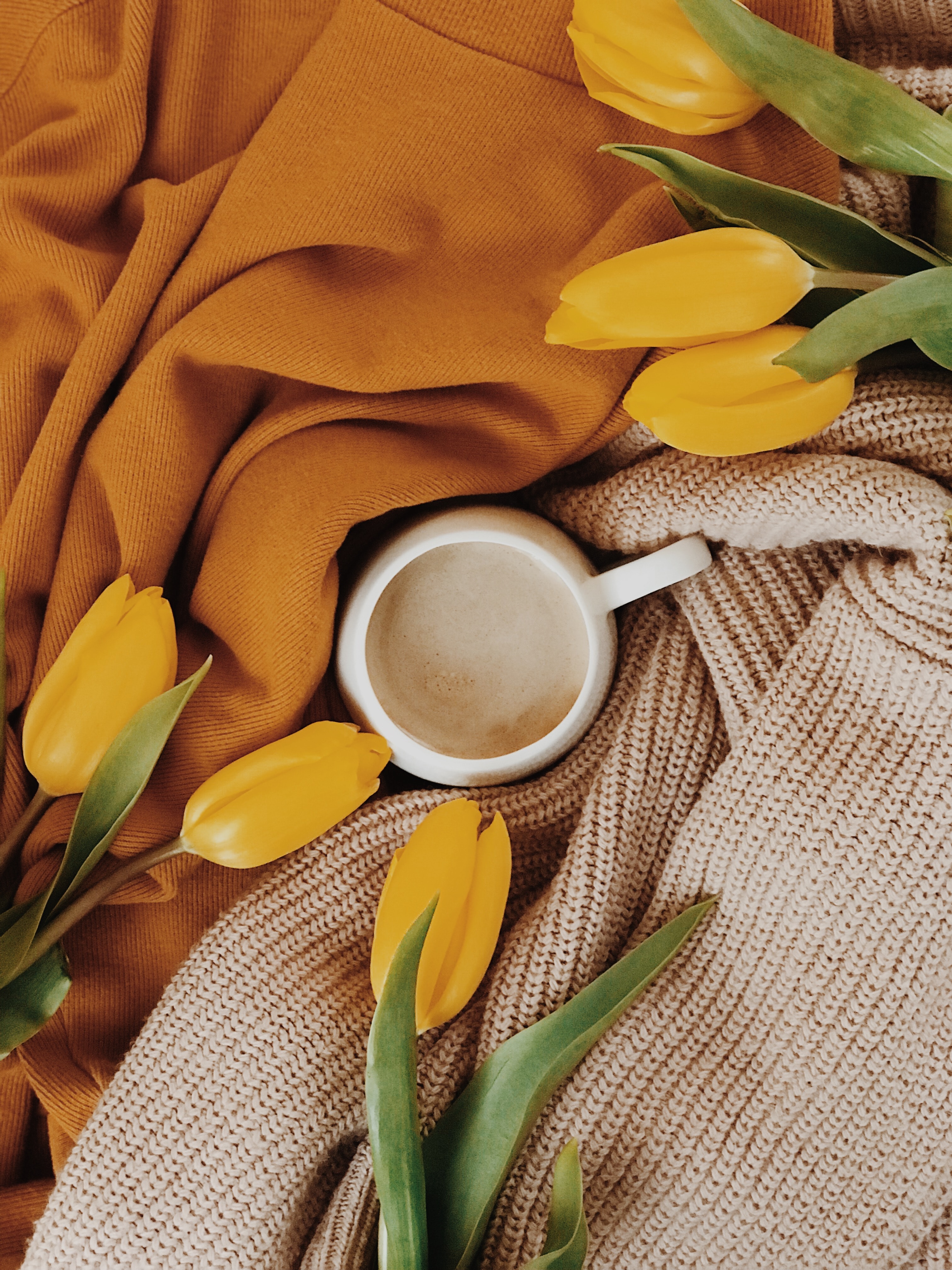 tulips, flowers, yellow, cup, drink, beverage
