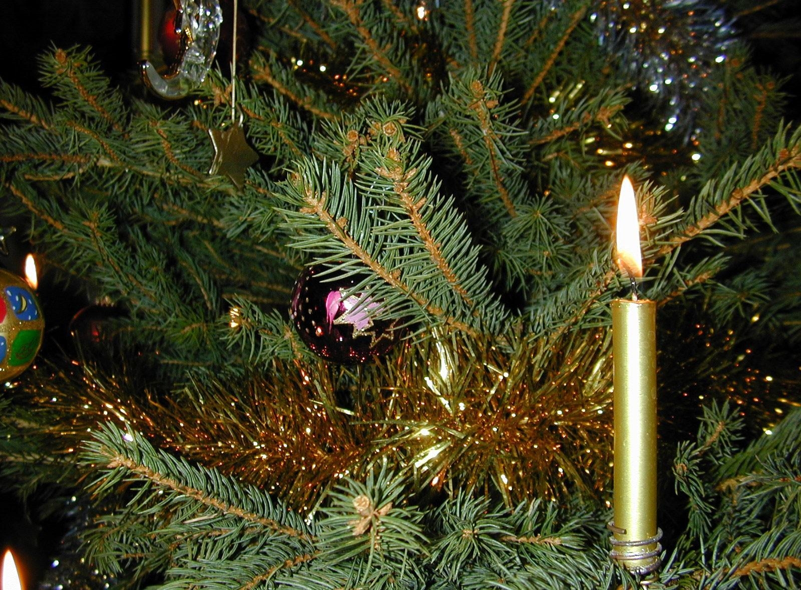 Desktop Backgrounds Holiday candle, needles, holidays, christmas tree