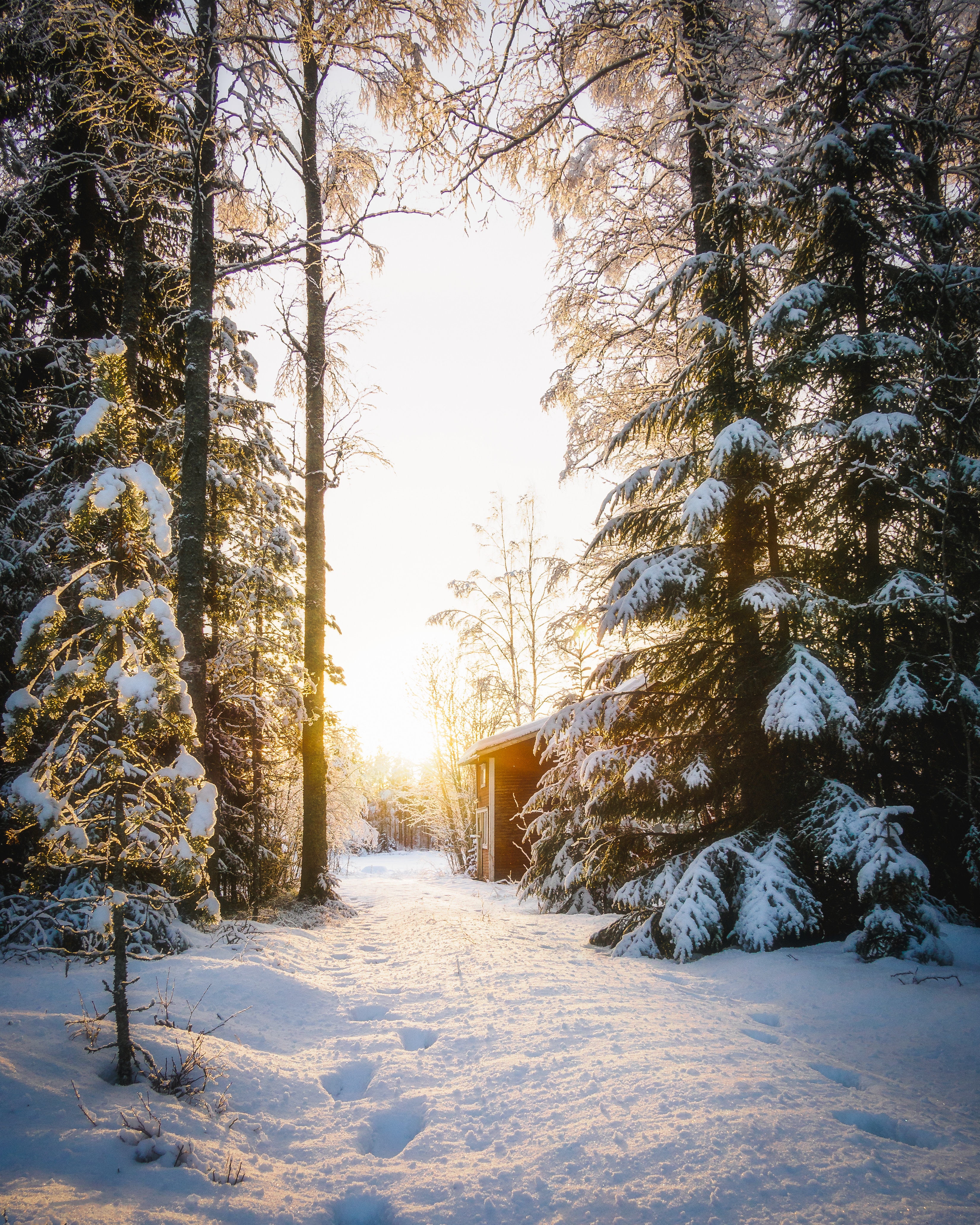 102446 download wallpaper winter, house, snow, nature, forest, sunlight screensavers and pictures for free