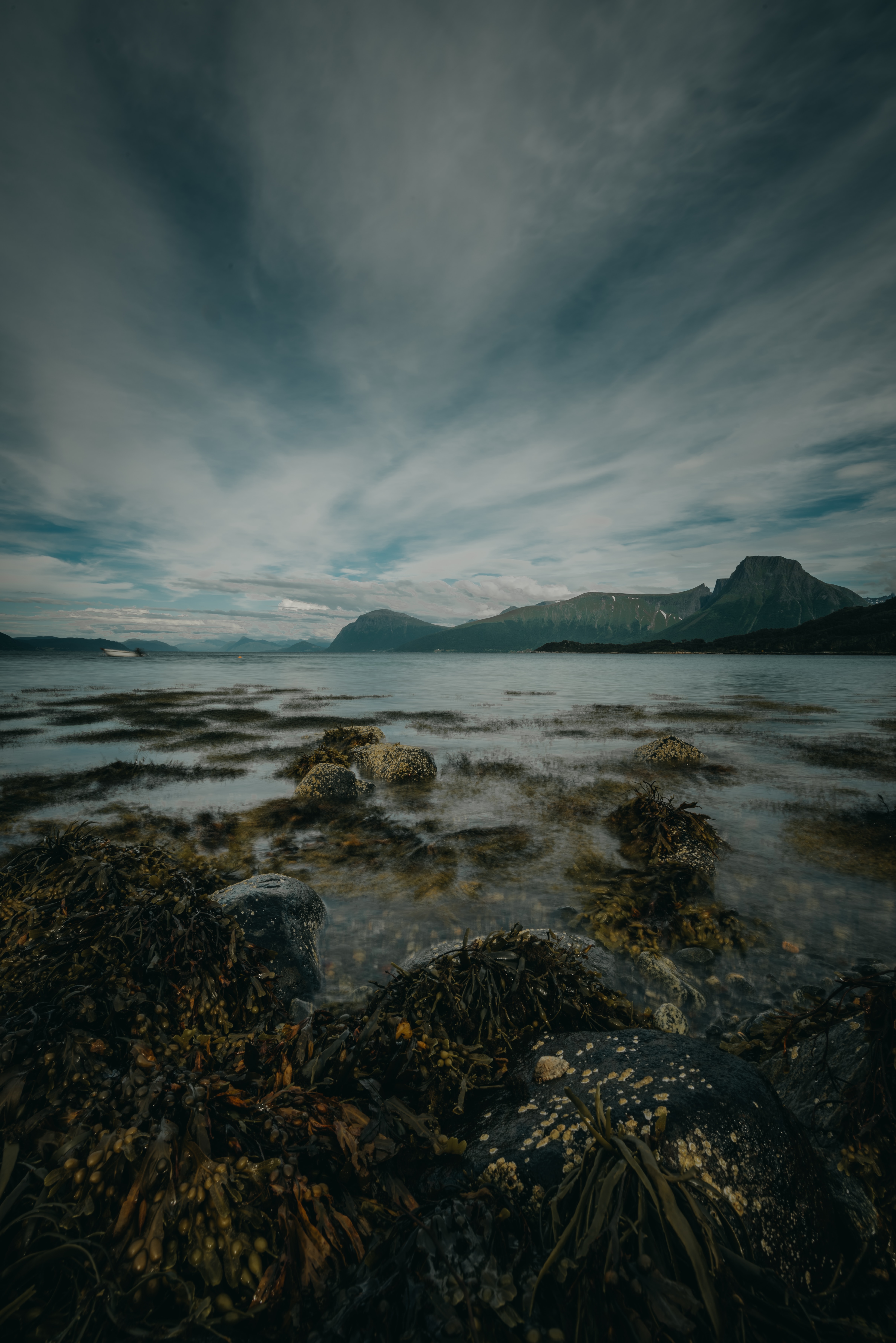 nature, mountains, algae, shore HD Wallpaper for Phone