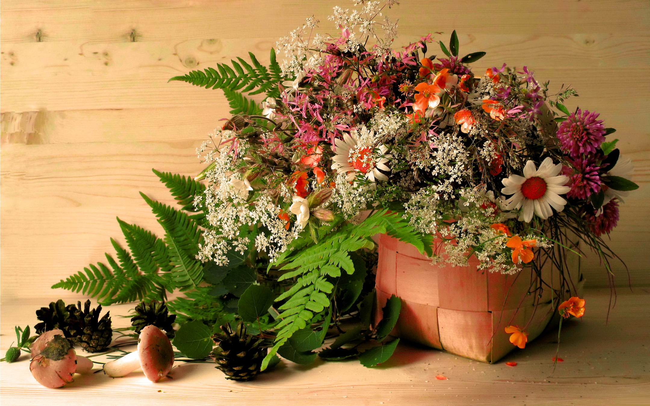 Handy-Wallpaper Blumen, Blätter, Cones, Kamille, Pilze, Korb, Kleeblatt, Klee kostenlos herunterladen.