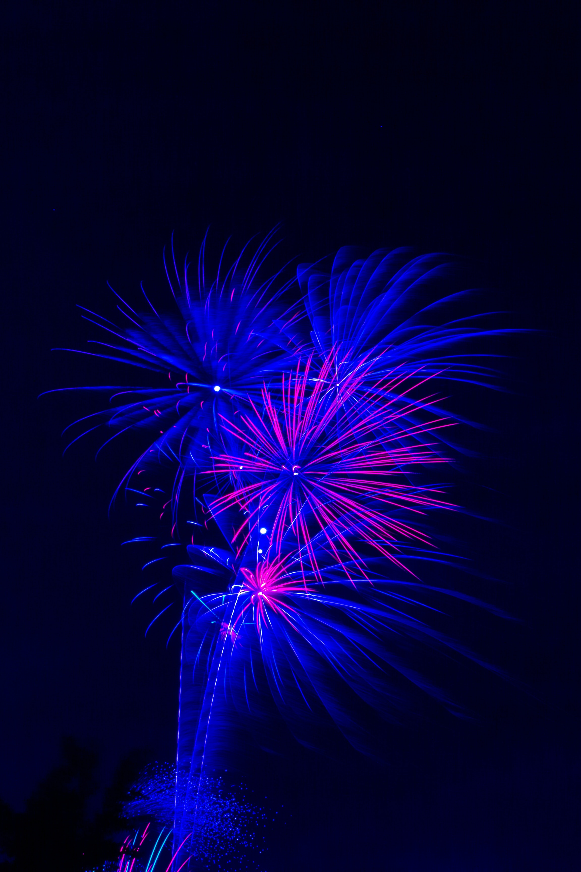 Phone Background Full HD firework, holidays, fireworks, sky