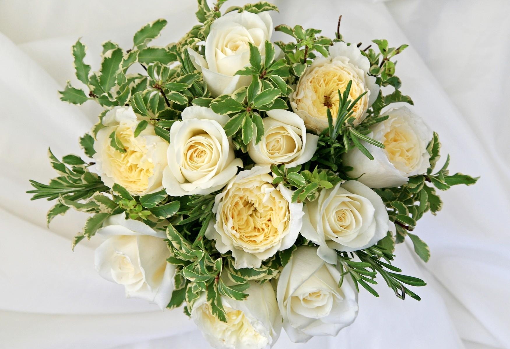 Laden Sie das Blumen, Roses, Anmeldung, Typografie, Strauß, Bouquet, Schneewittchen-Bild kostenlos auf Ihren PC-Desktop herunter