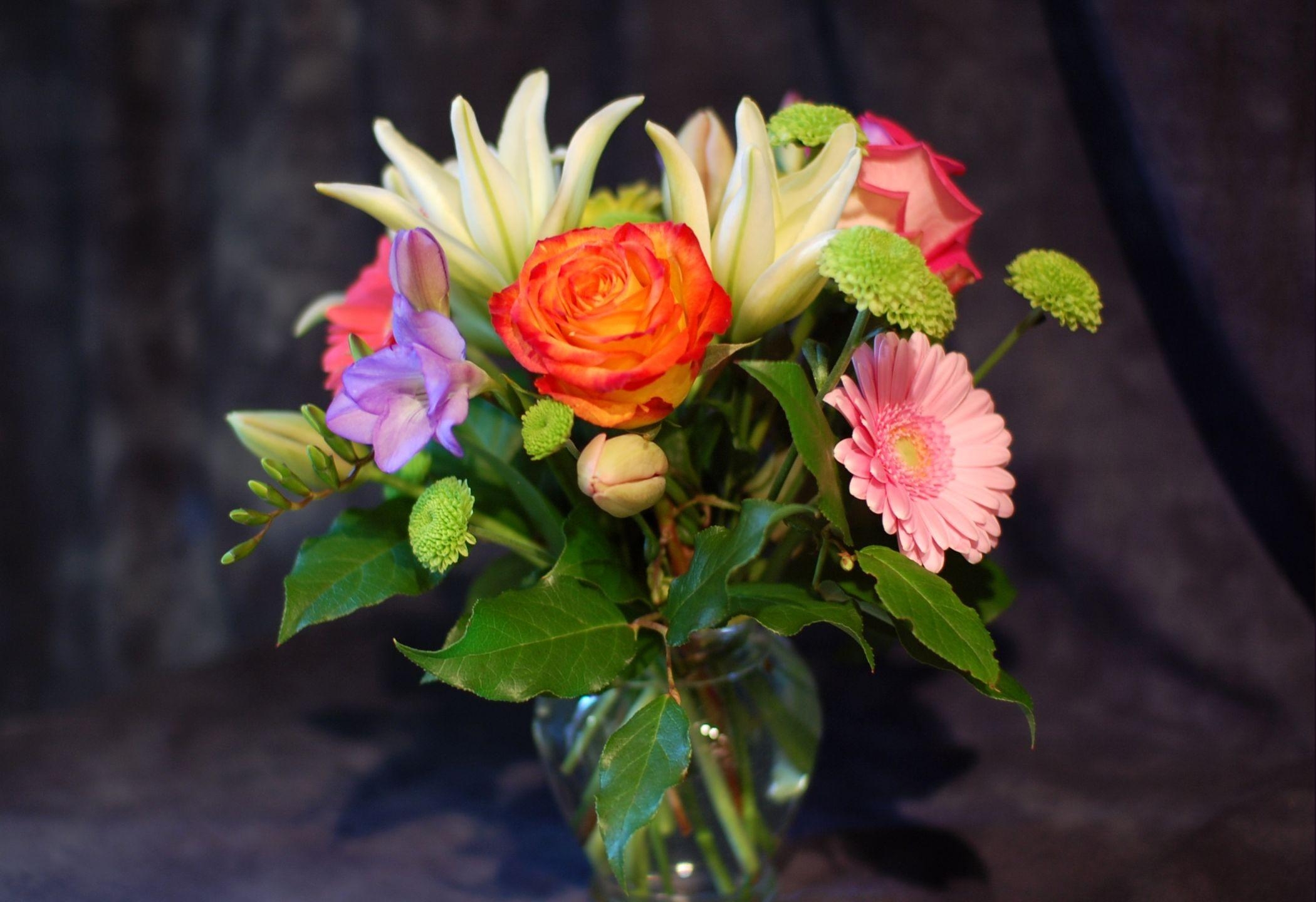 beauty, bouquet, vase, flowers Chrysanthemum HQ Background Images