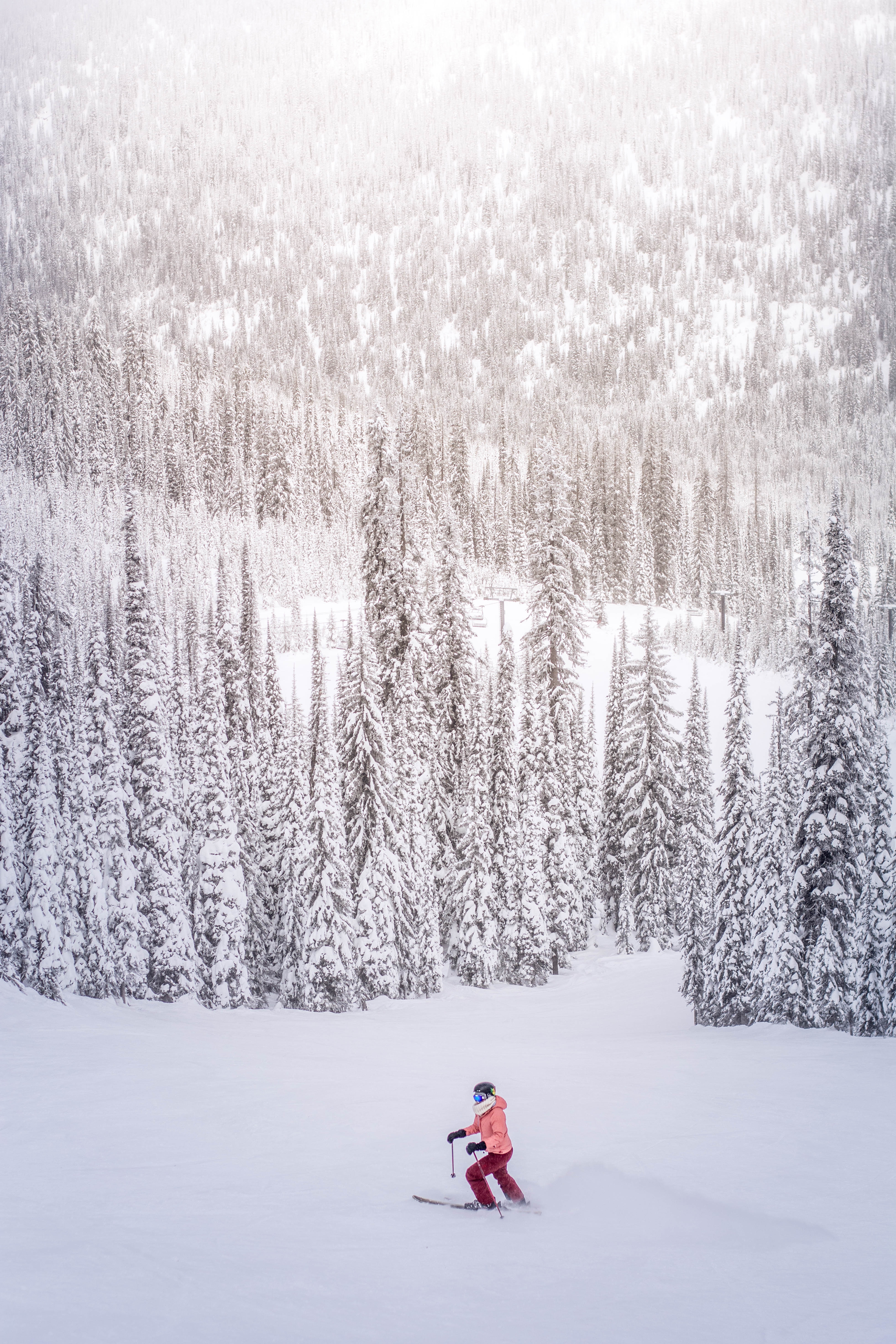 手機的156296屏保和壁紙运动。 免費下載 雪覆盖, 树, 滑雪者, 雪 圖片