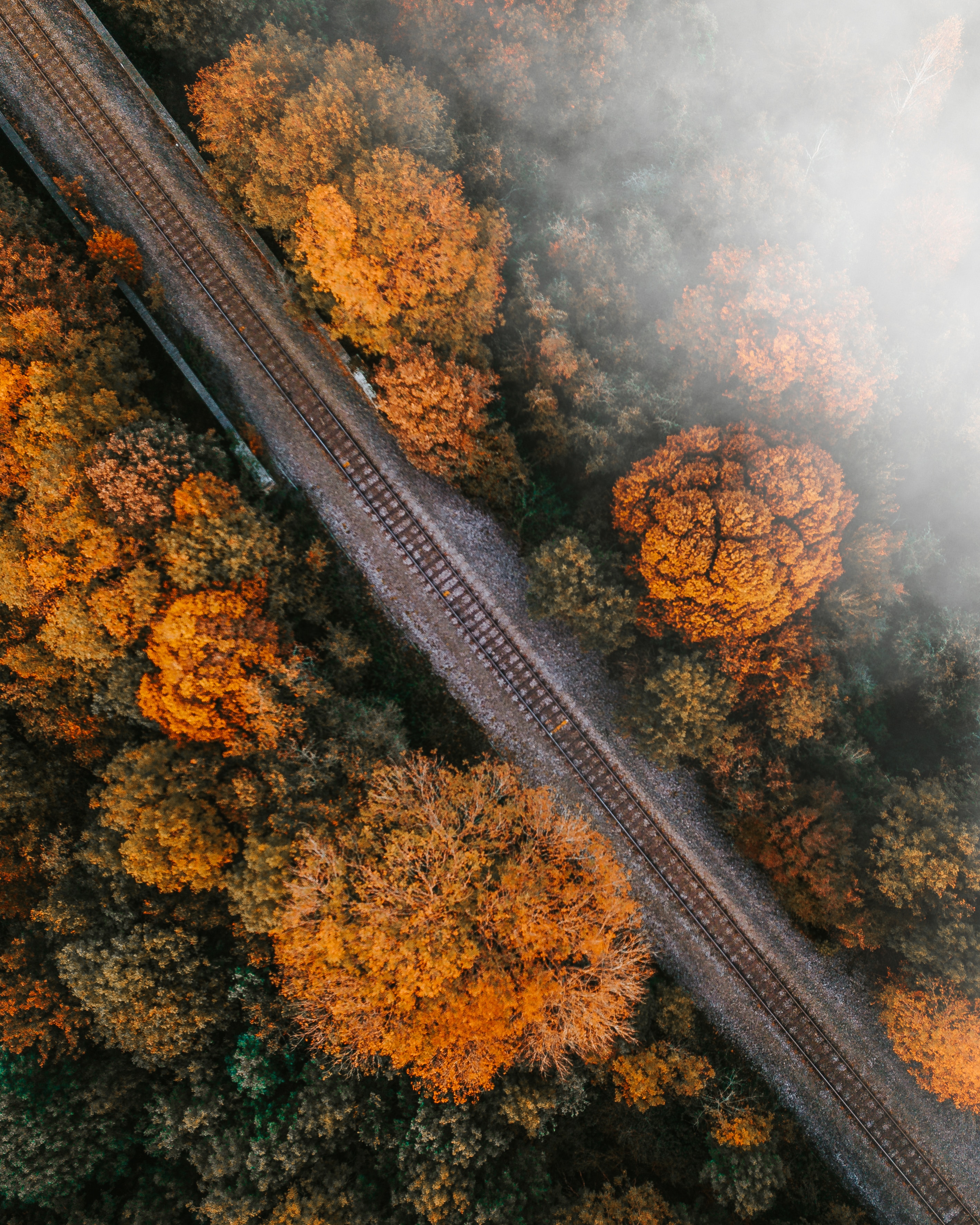 top, view from above, nature, railway Phone Wallpaper