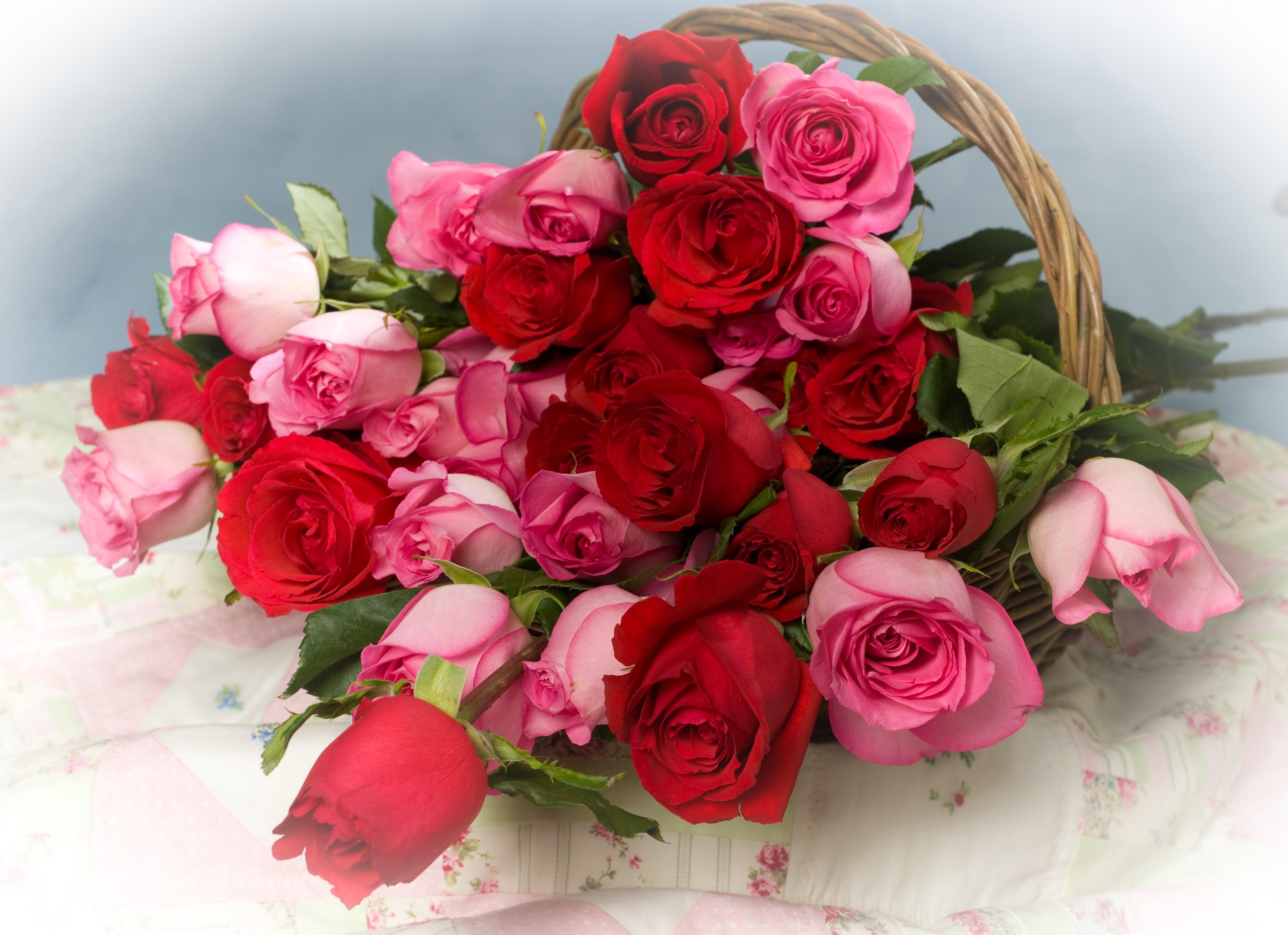 Handy-Wallpaper Blumen, Roses, Viel, Korb kostenlos herunterladen.