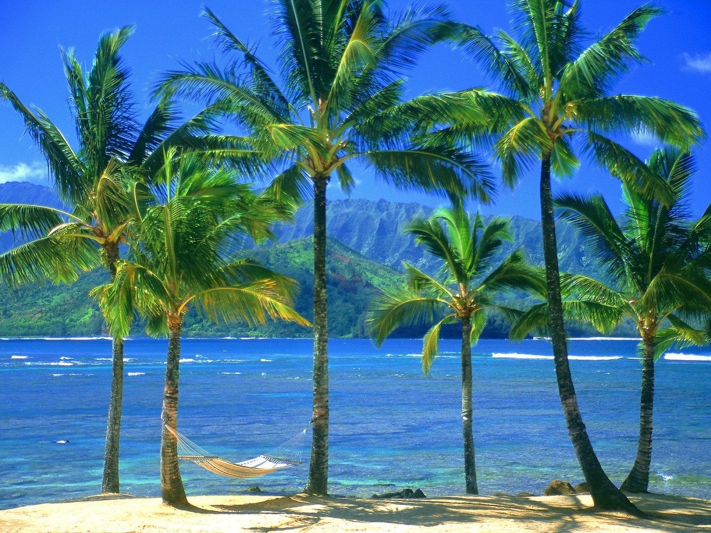 High Definition wallpaper palms, trees, sea, landscape