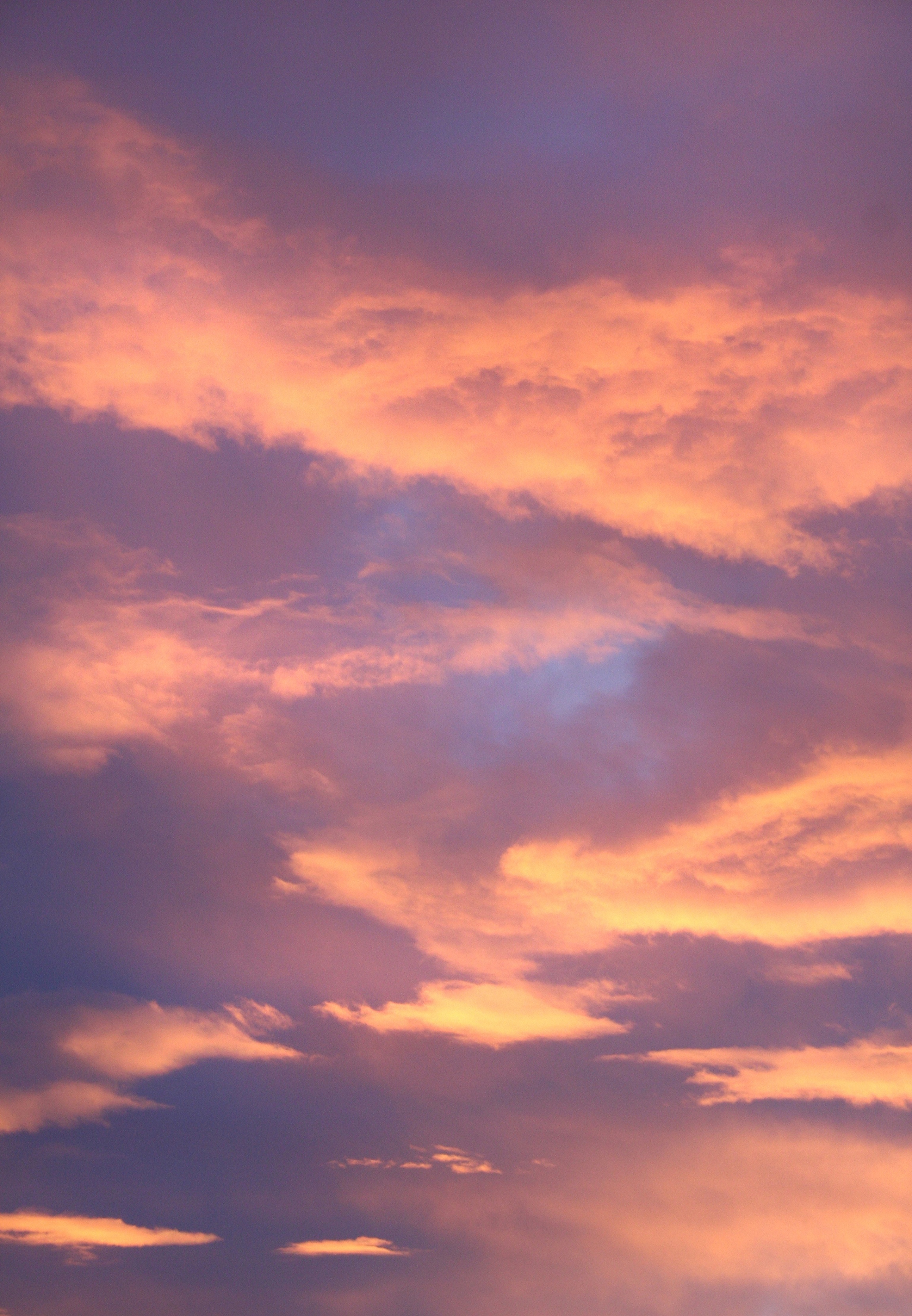 clouds, nature, sunset, sky, cloudy HD wallpaper