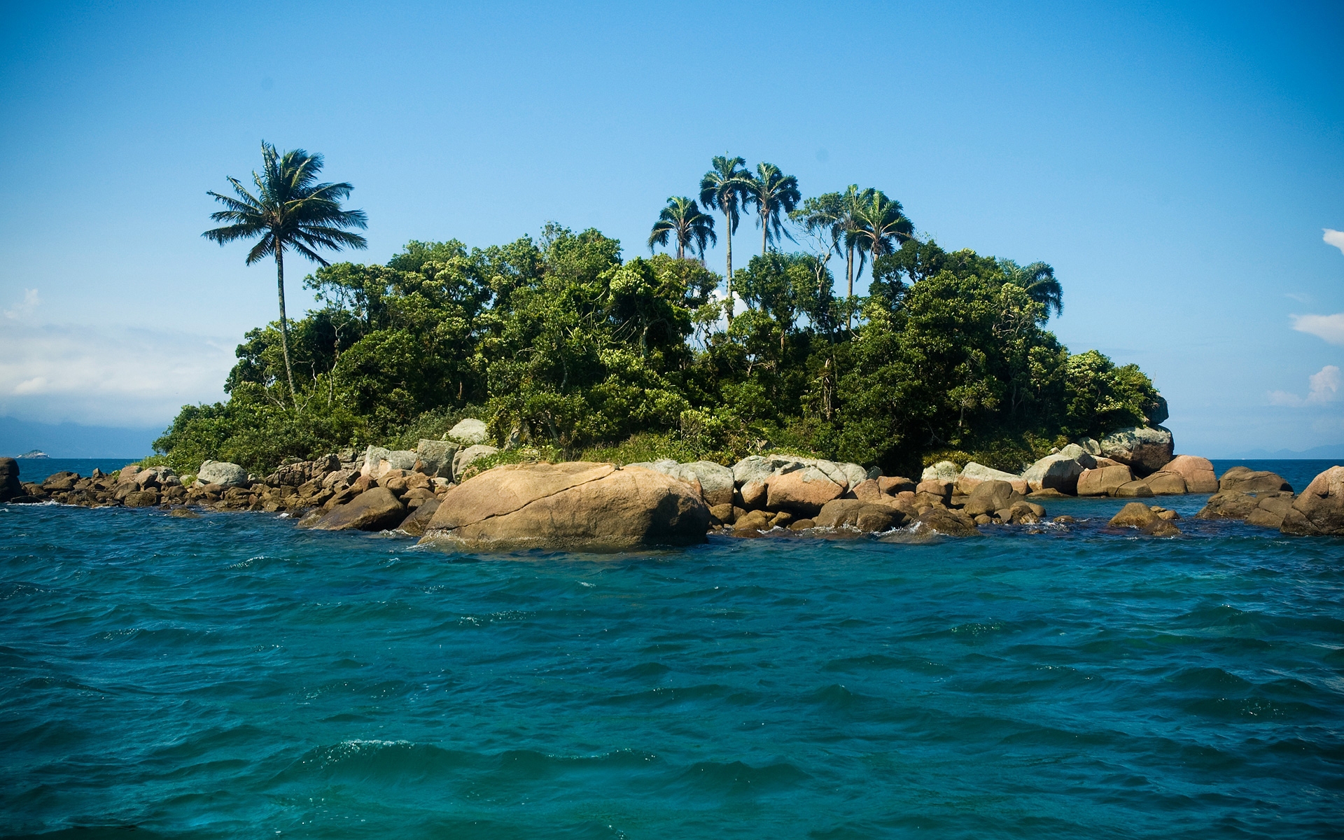 palms, landscape, sea