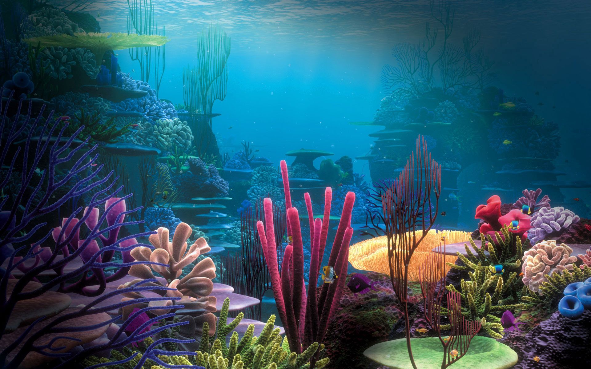 Underwater peace, multicolored, bottom, ocean 4k Wallpaper
