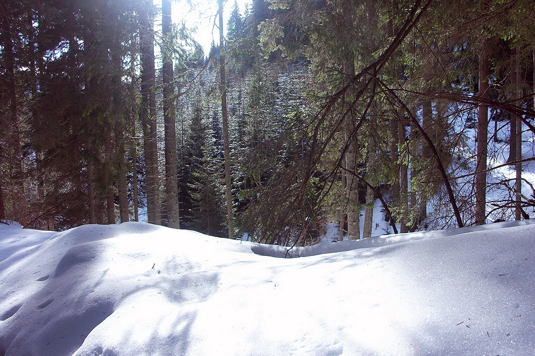 113561 Hintergrundbild herunterladen winter, natur, bäume, mountains, schnee, driften, driftet, rumänien - Bildschirmschoner und Bilder kostenlos