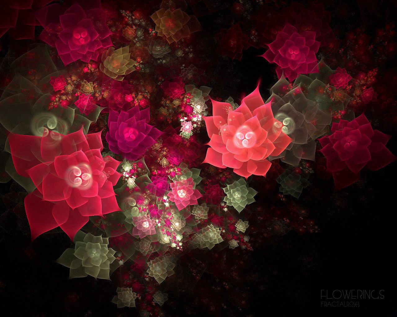 fractal, abstract, flowers, pink, red