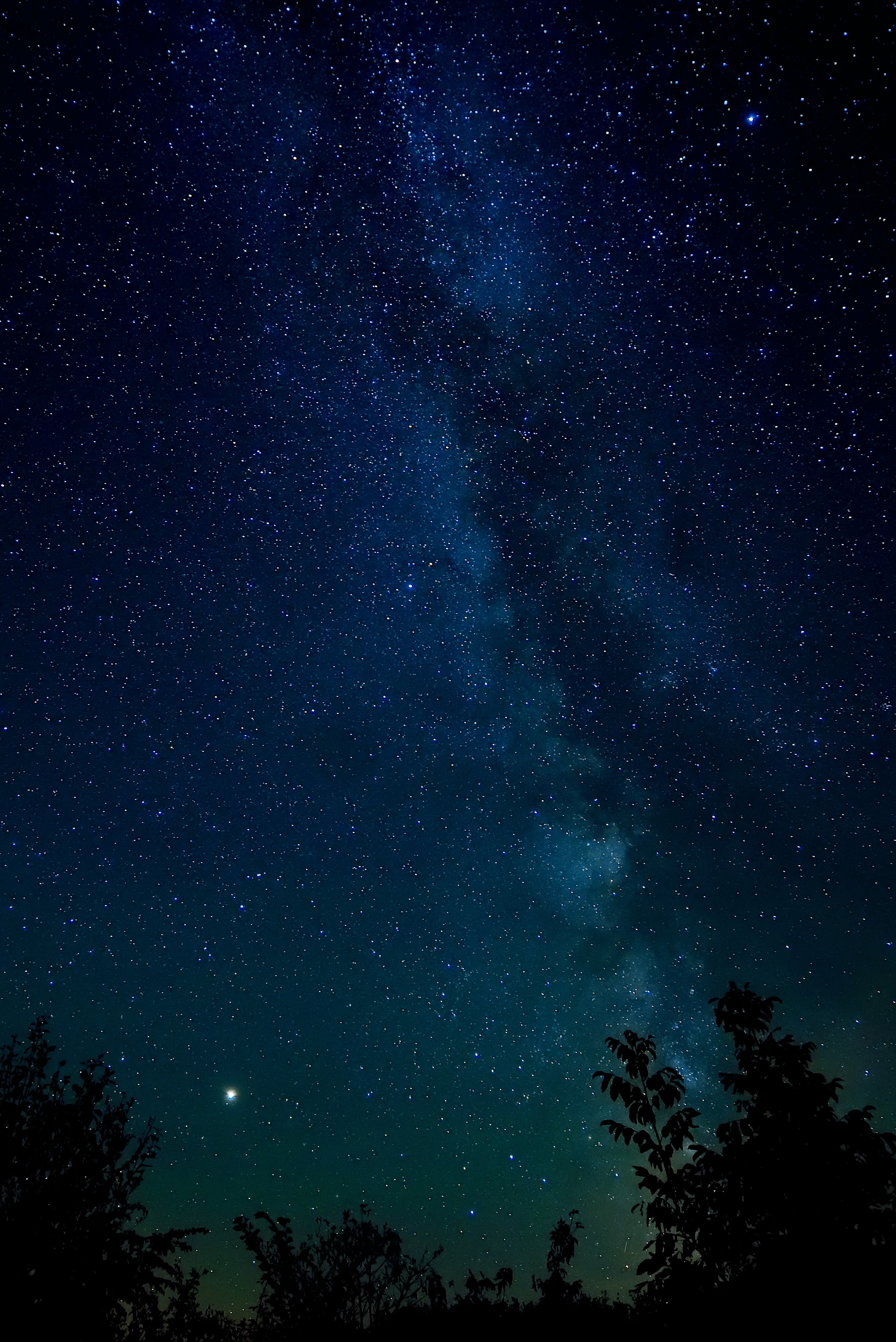 113492 Hintergrundbild herunterladen sterne, natur, bäume, übernachtung, sternenhimmel, nachthimmel - Bildschirmschoner und Bilder kostenlos