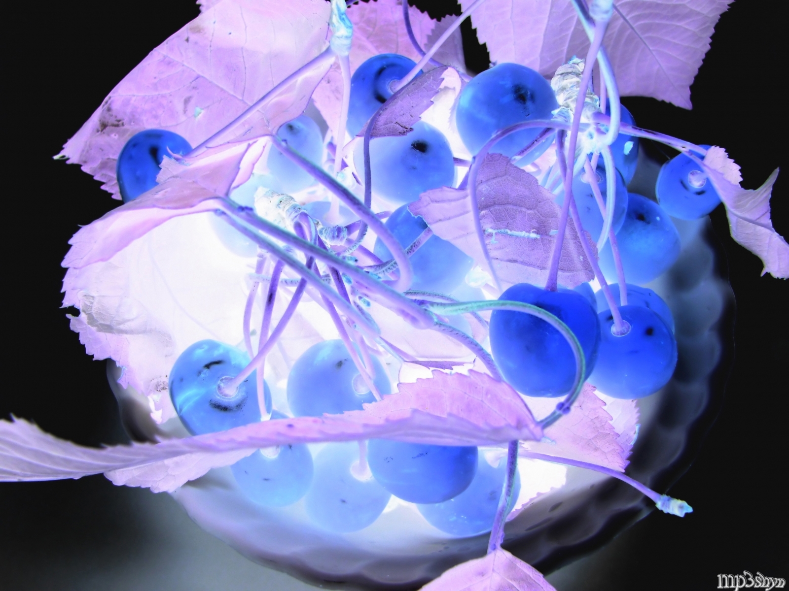1080p pic fruits, plants, blue