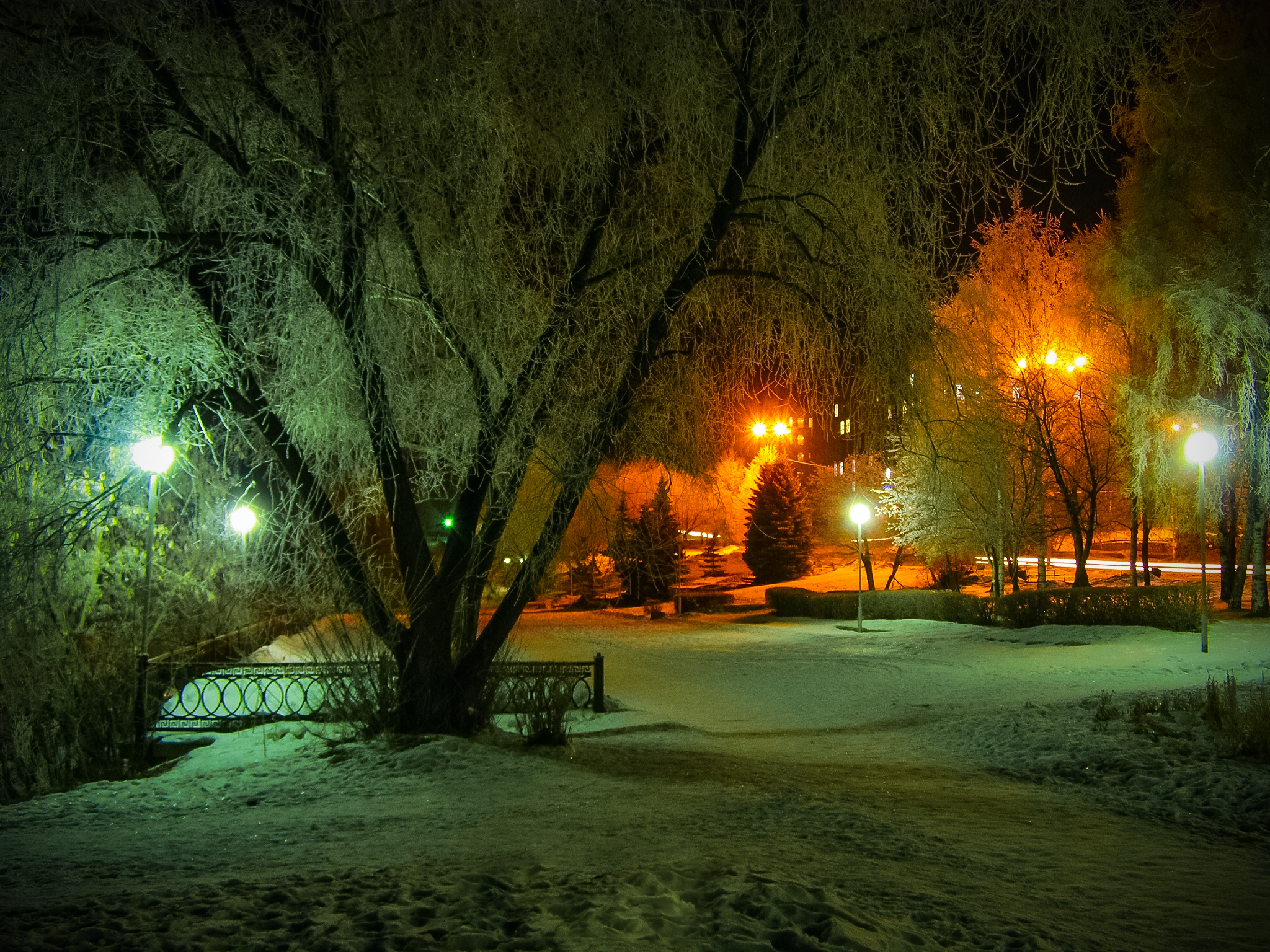 HD desktop wallpaper: Winter, Night, Light, Park, Tree, Earth, Photography  download free picture #771705