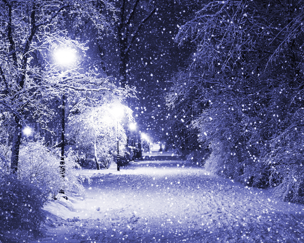 20463 Заставки и Обои Пейзаж на телефон. Скачать снег, синие, дороги, деревья картинки бесплатно