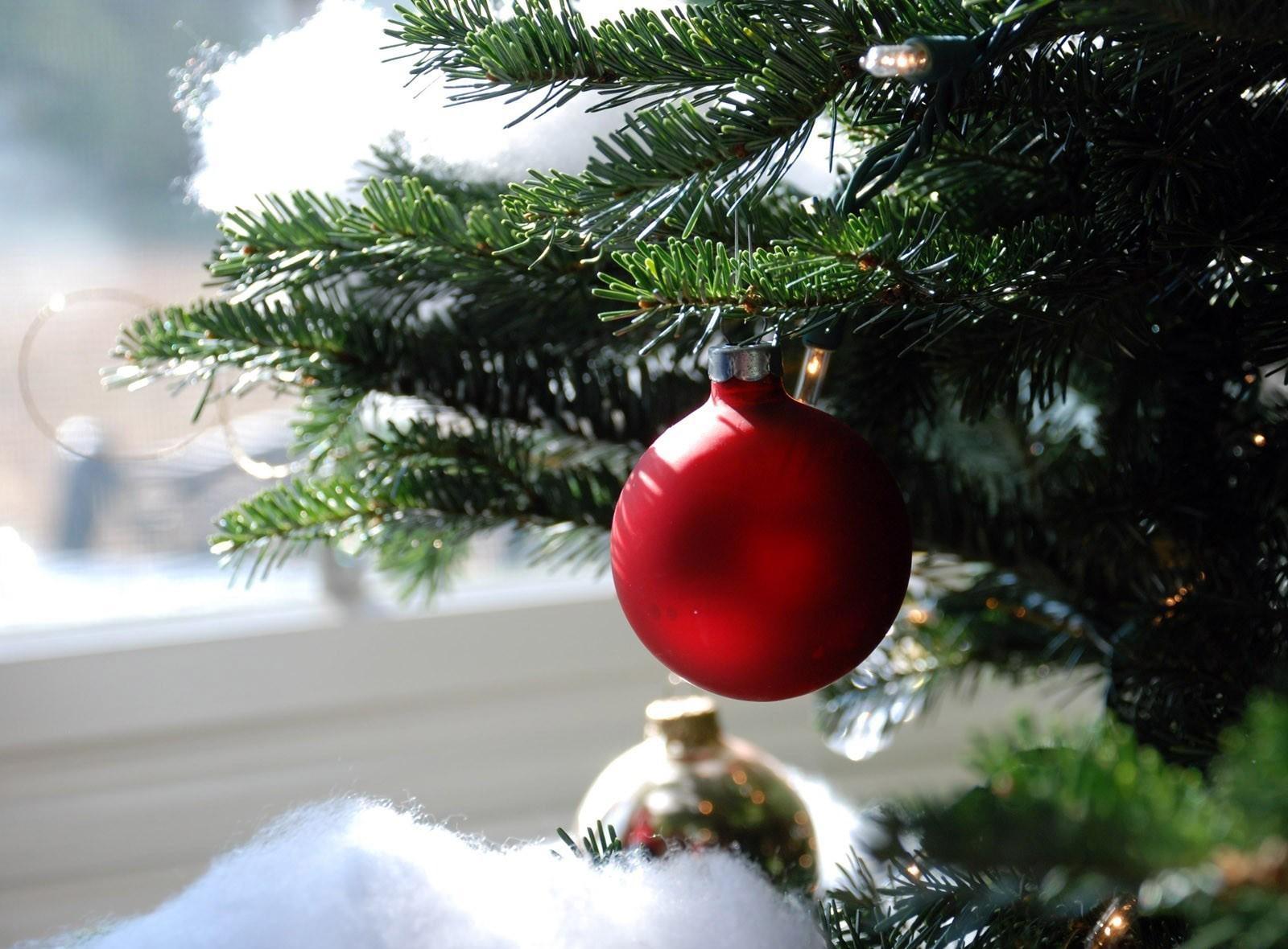 Téléchargez des papiers peints mobile Fêtes, Fermer, Gros Plan, Branche, Ballon, Balle, Aiguilles, Arbre De Noël, Jouet D'arbre De Noël gratuitement.