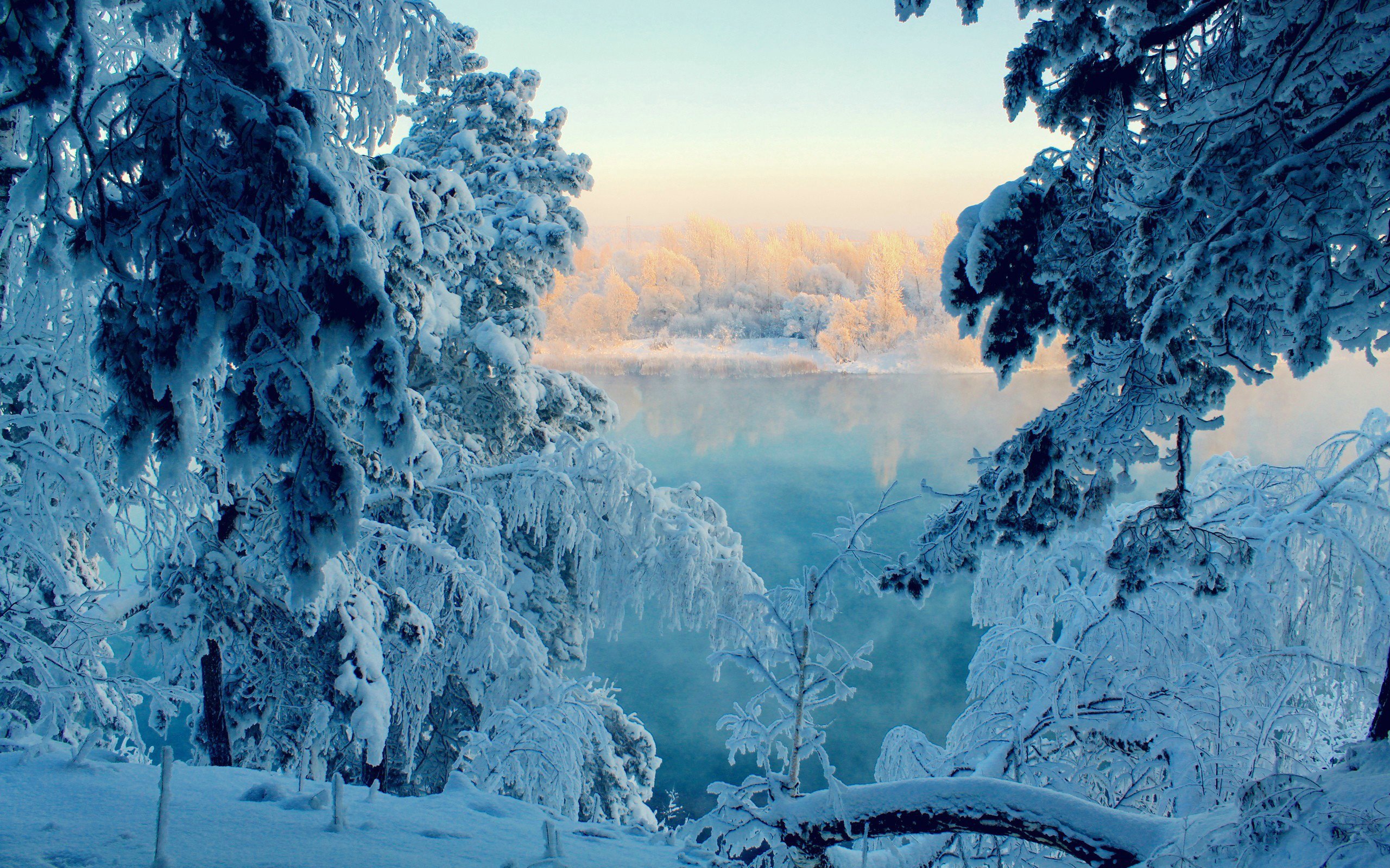 Фото зима на рабочий стол зима