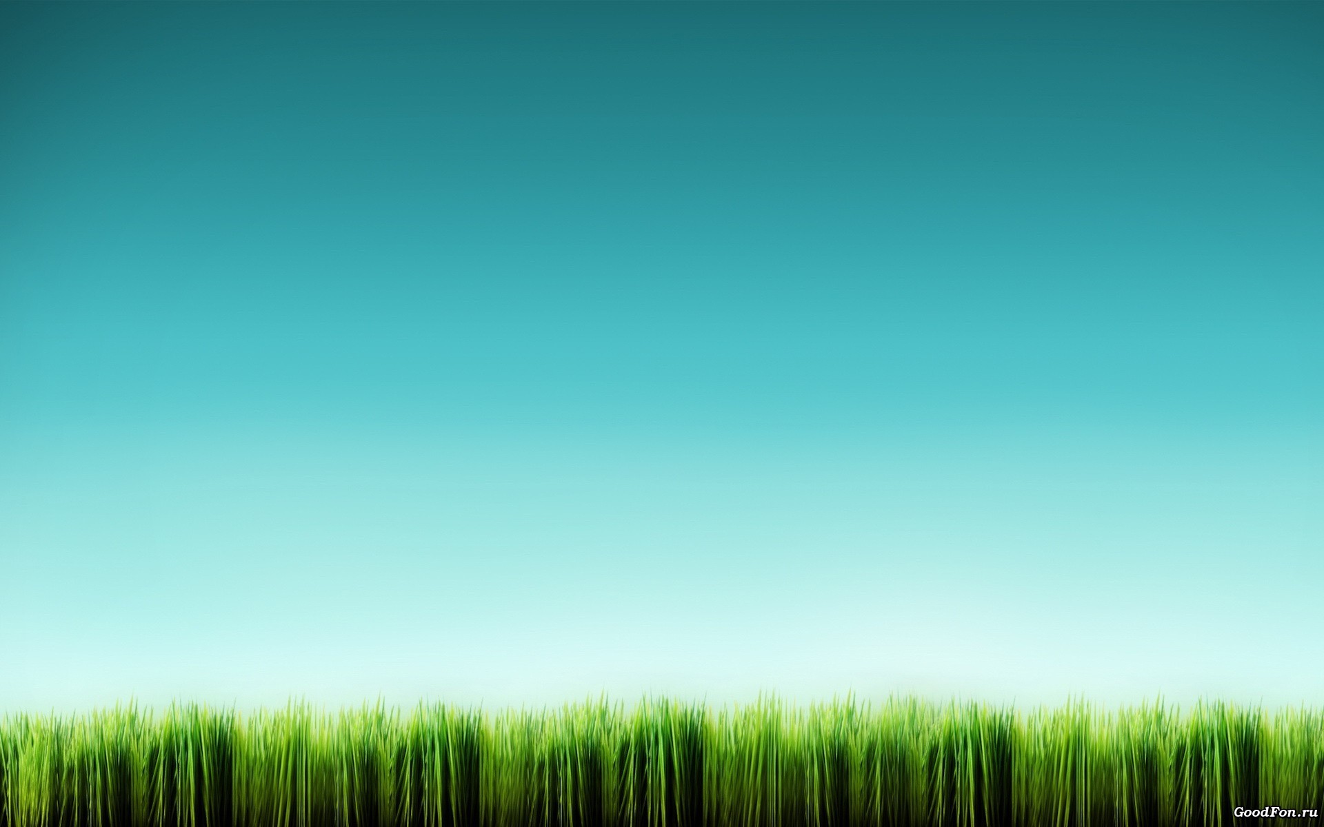 15229壁紙のダウンロード草, 背景, 青緑-スクリーンセーバーと写真を無料で