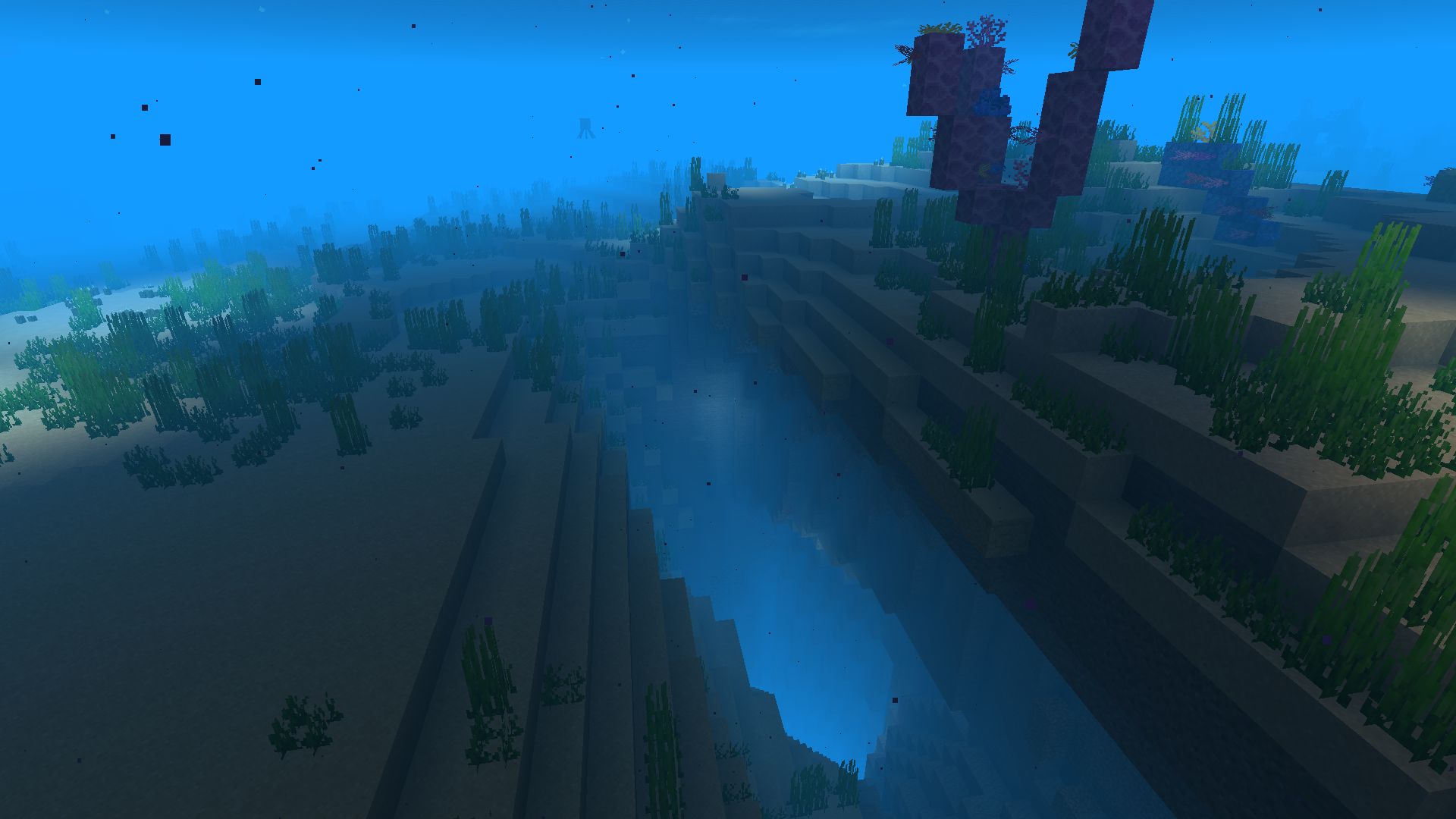 Add a touch of nature to your desktop with our HD desktop wallpaper featuring Minecraft, ocean, cave, underwater, and coral themes. Each image showcases the unique beauty of the natural world and will transport you to a place of serenity and calm. Upgrade your desktop today, and download our image now!