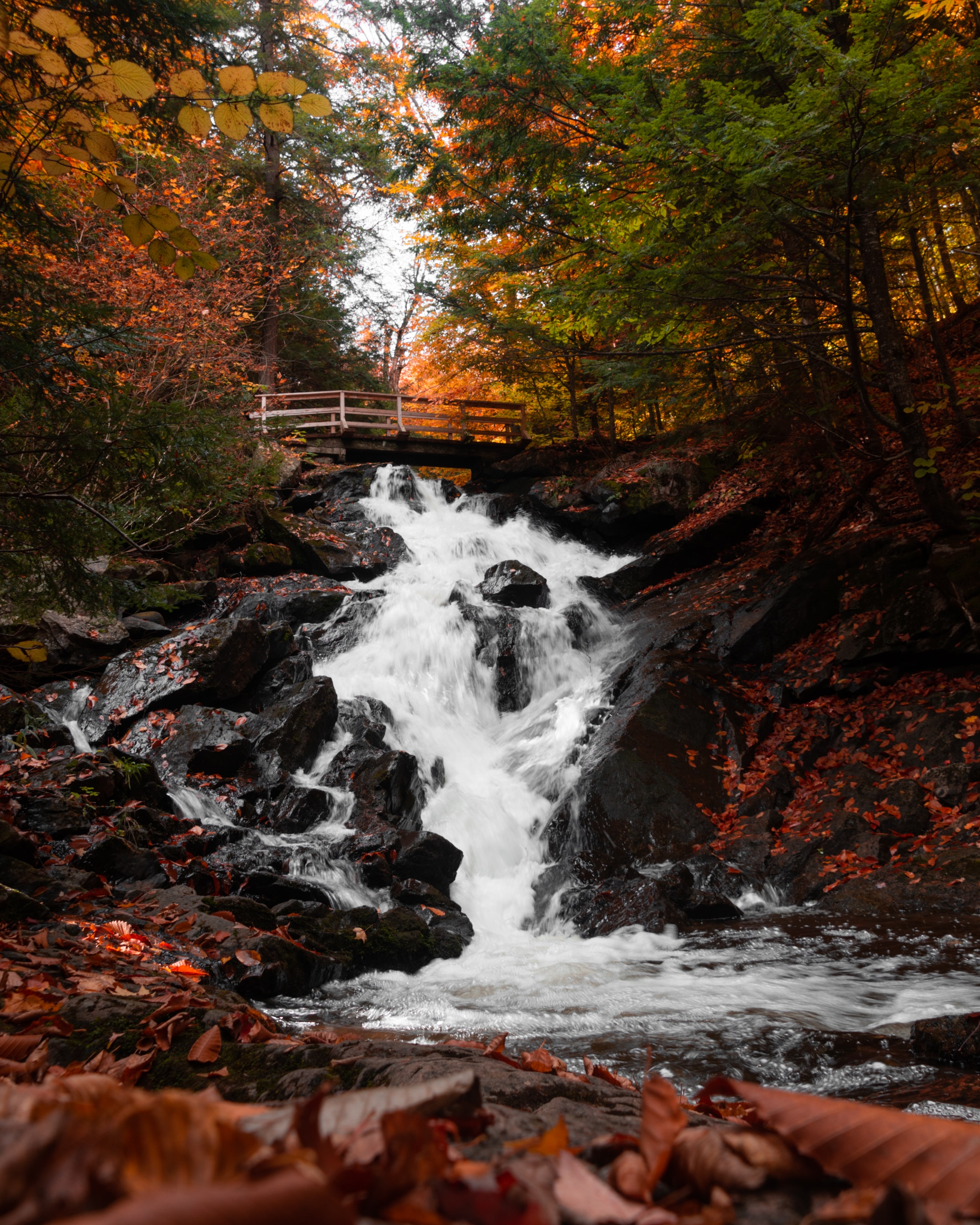 Laden Sie das Wasserfall, Natur, Herbst, Brücke-Bild kostenlos auf Ihren PC-Desktop herunter