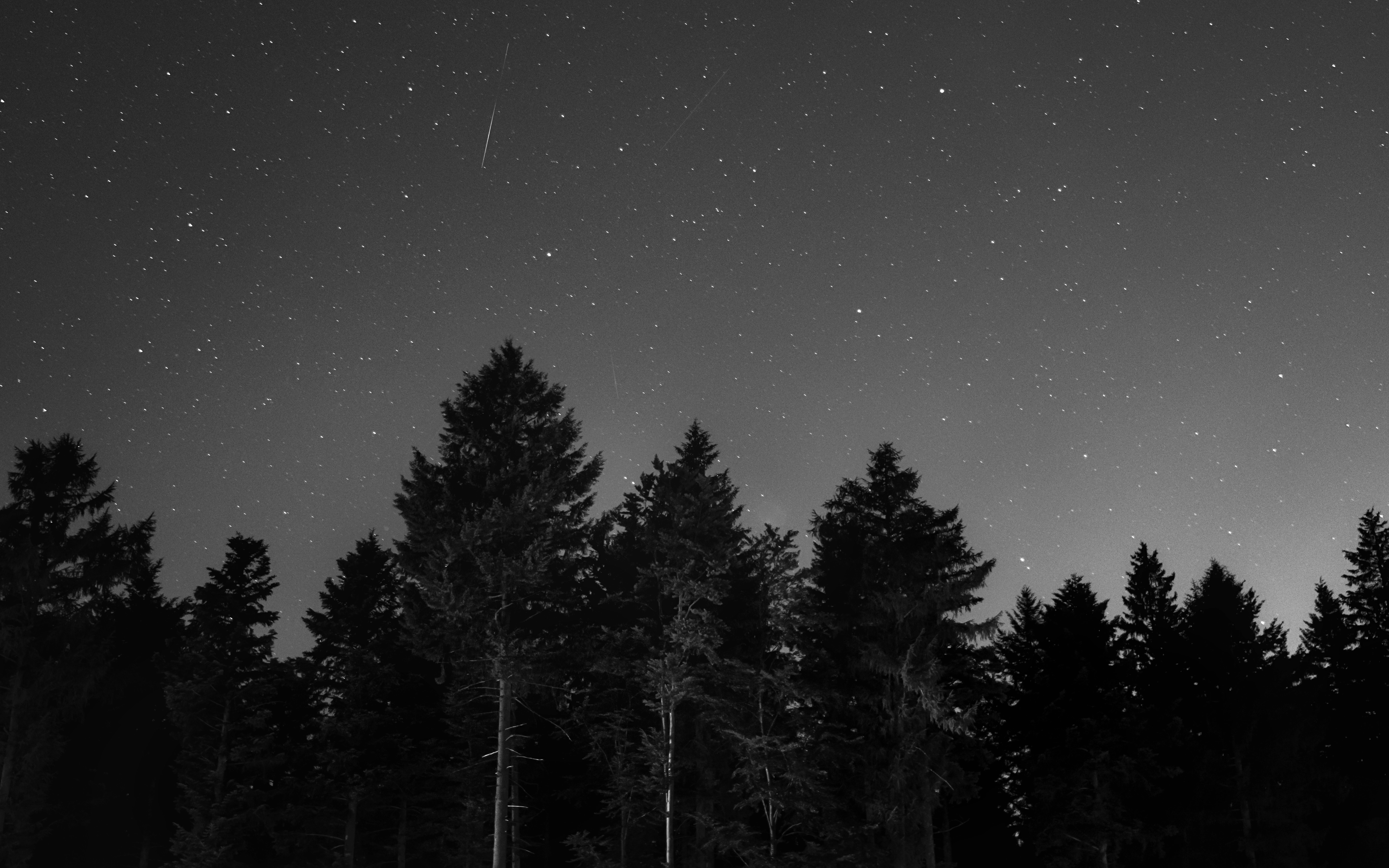 bw, nature, night, starry sky, chb phone wallpaper