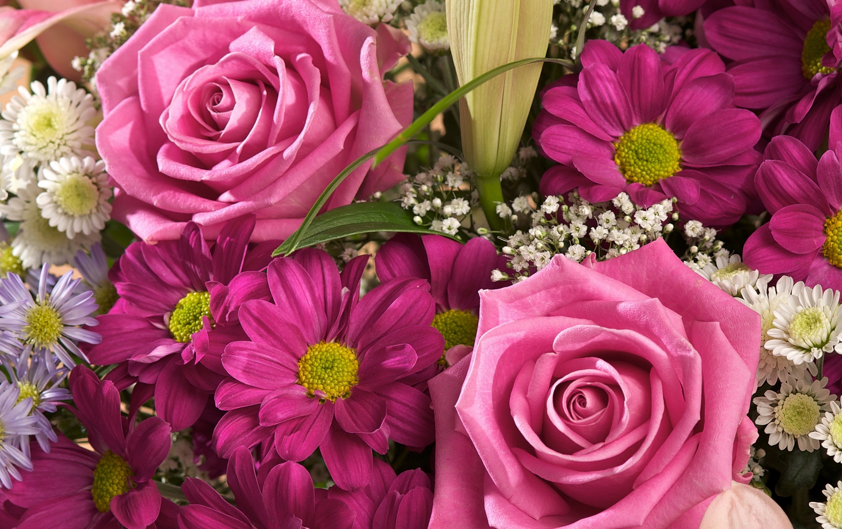 Handy-Wallpaper Blumen, Roses, Chrysantheme, Nahaufnahme, Strauß, Bouquet, Nahansicht, Schleierkraut, Gipsophile kostenlos herunterladen.