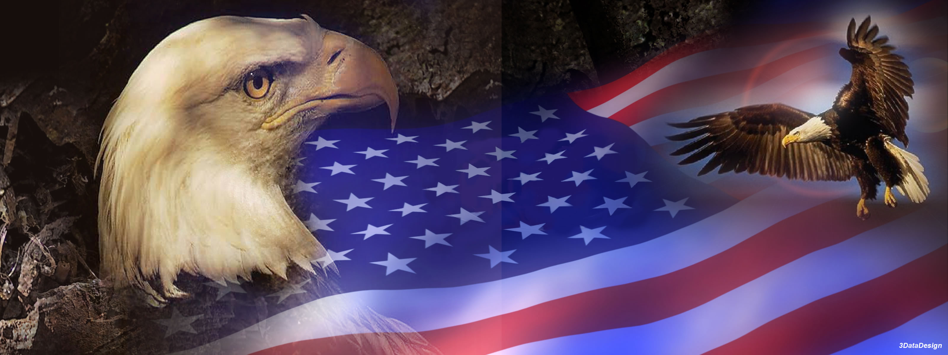 165029 скачать обои флаги, американский флаг, сделано человеком, птицы, орел - заставки и картинки бесплатно