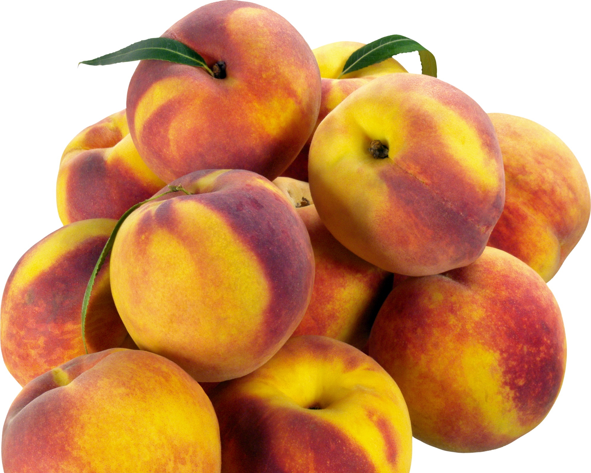 110119 download wallpaper fruits, food, peaches, branch screensavers and pictures for free