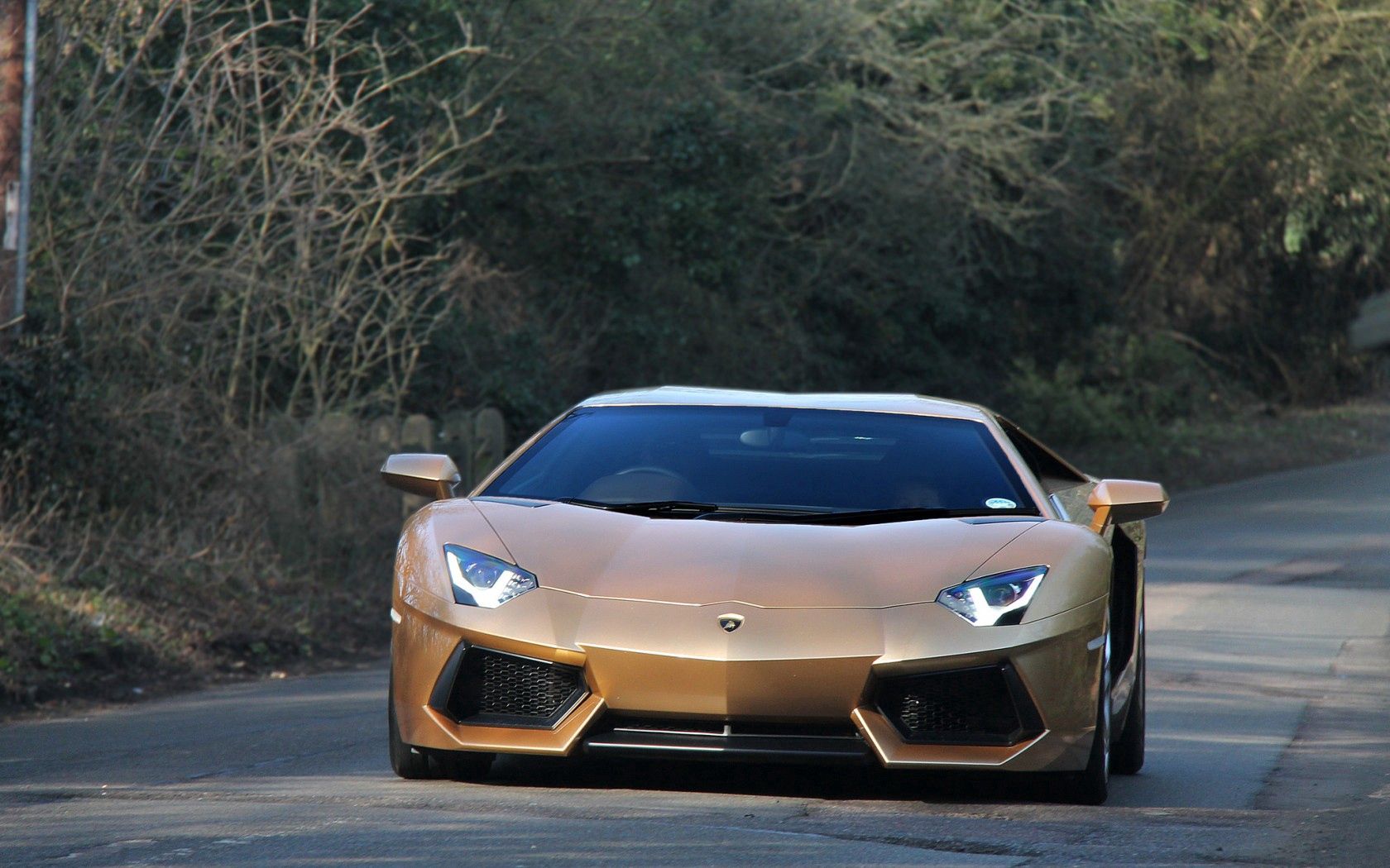 cars, gold, lamborghini, road collection of HD images