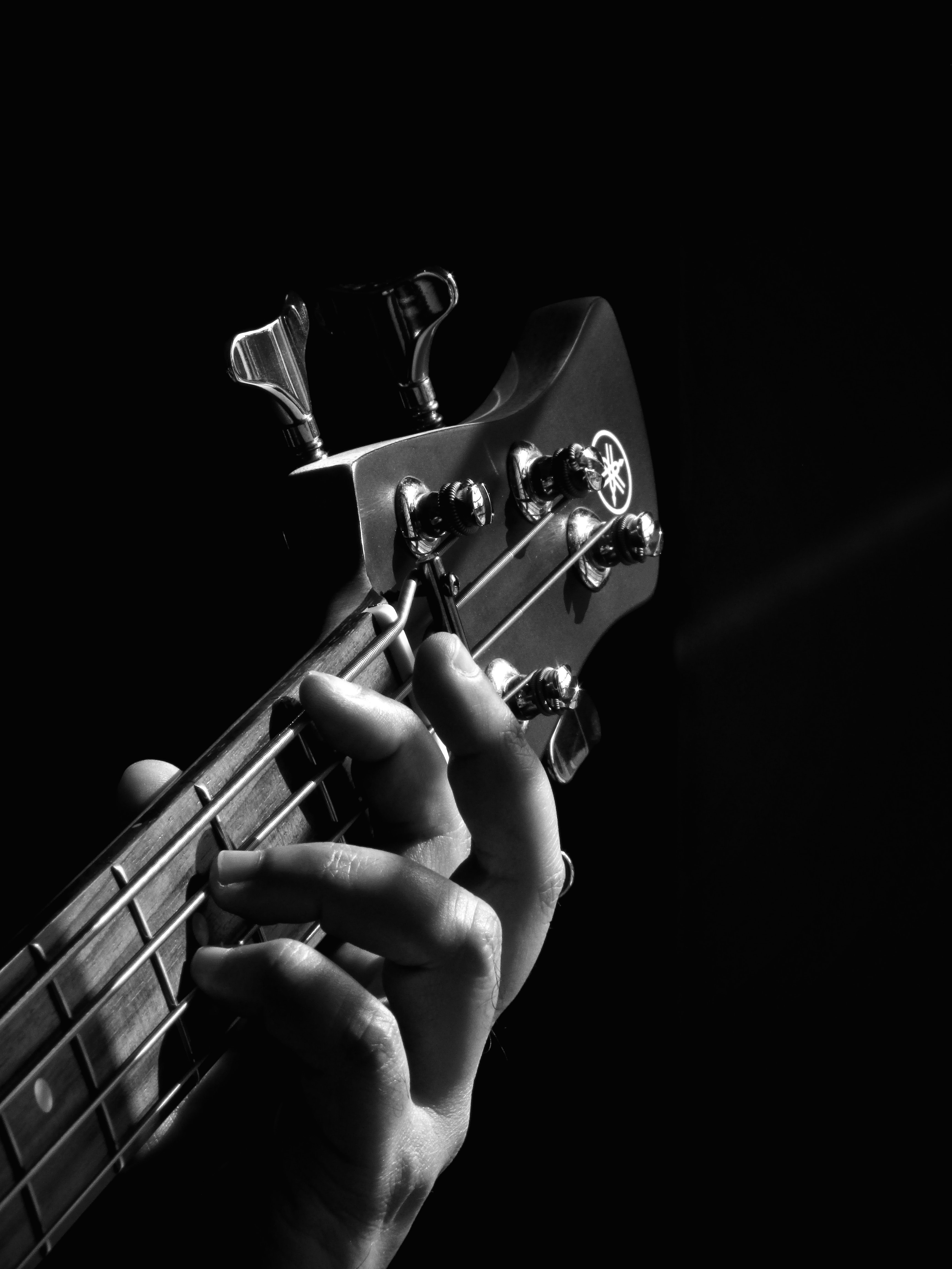 android chb, guitar, musical instrument, music, hand, vulture, bw