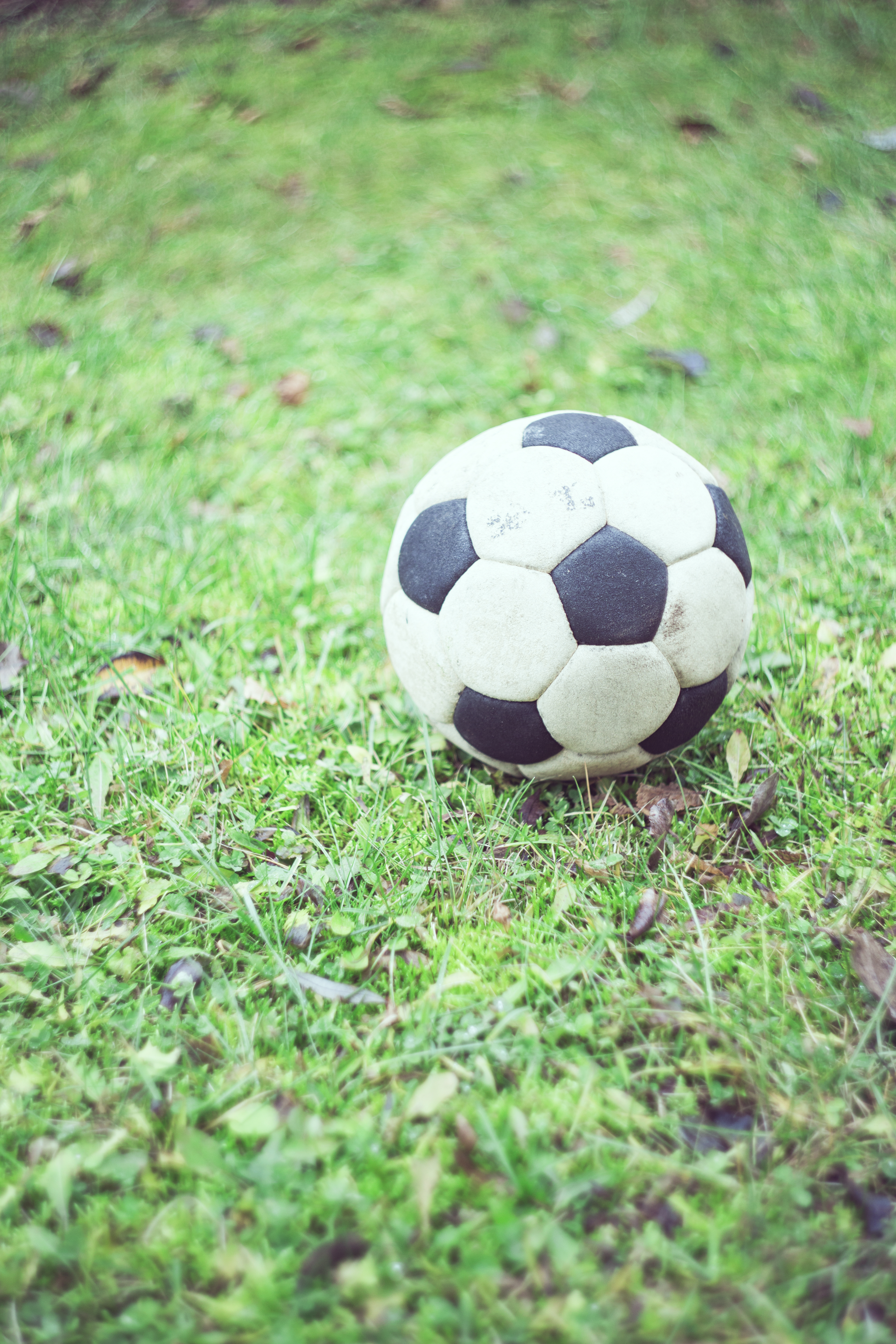 blur, football, grass, sports Cell Phone Image