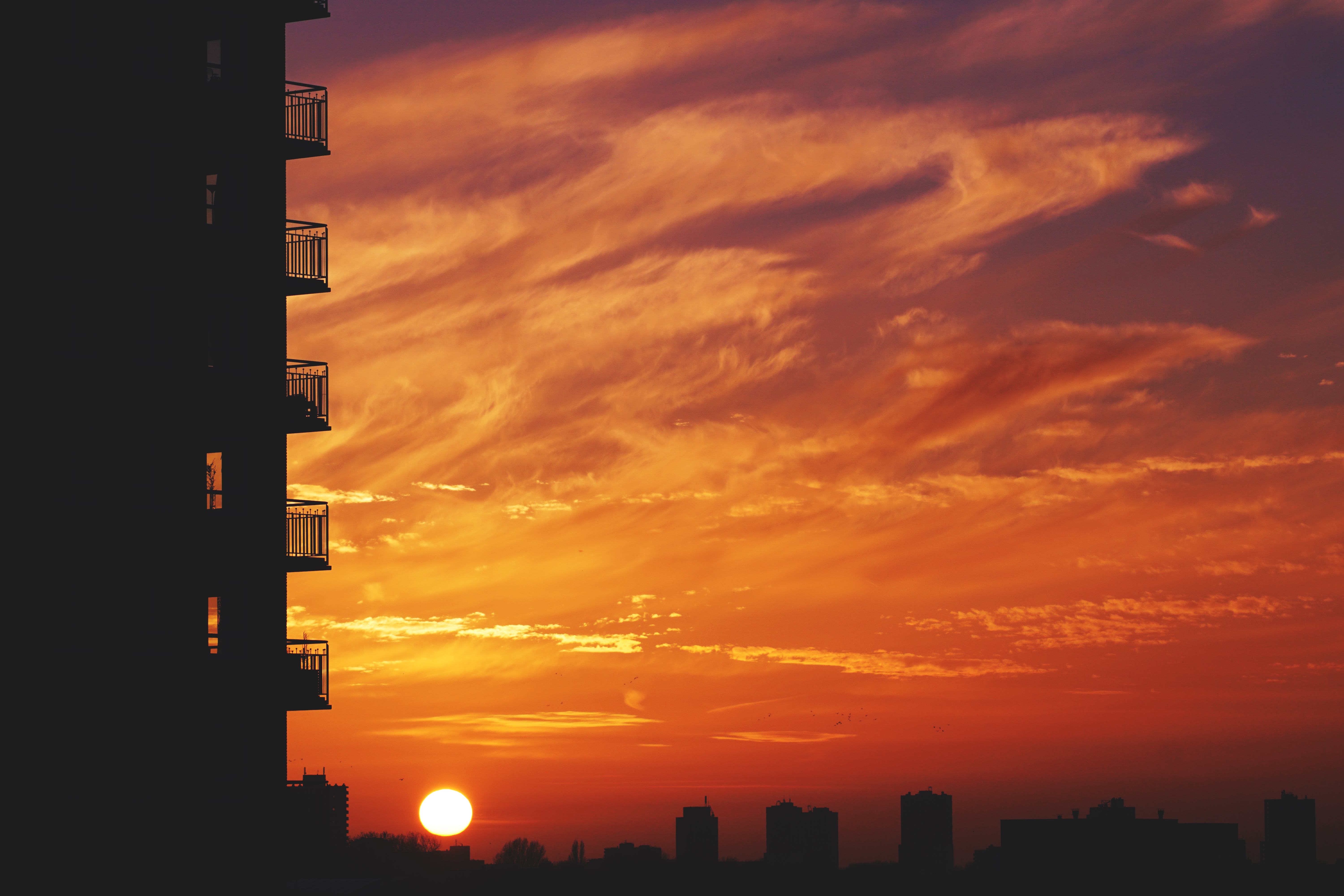 Phone Background horizon, sky, city, sunset