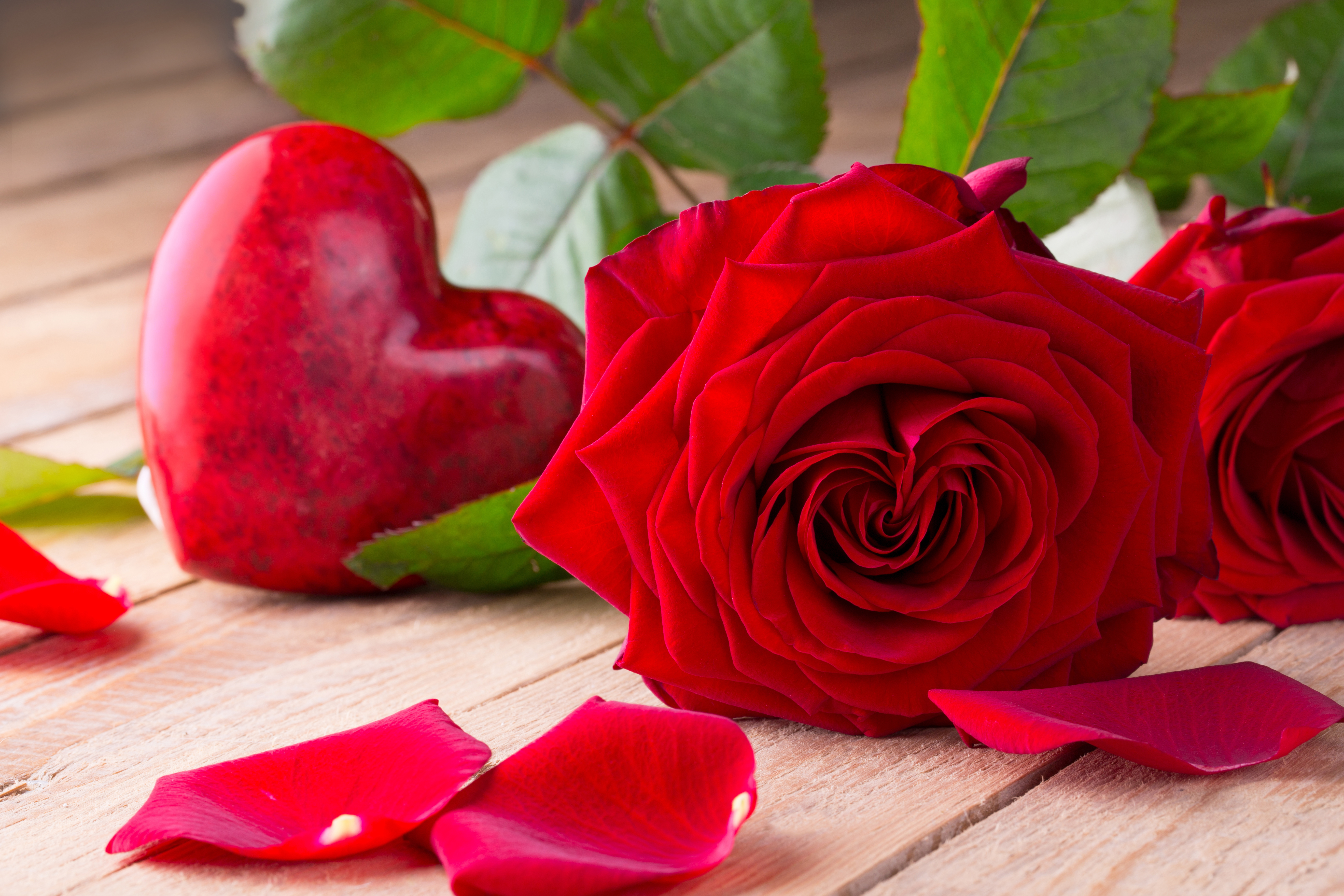 Мне нужен был красный. Цветы сердечки. Красивые розы. Красные розы. Романтические цветы.