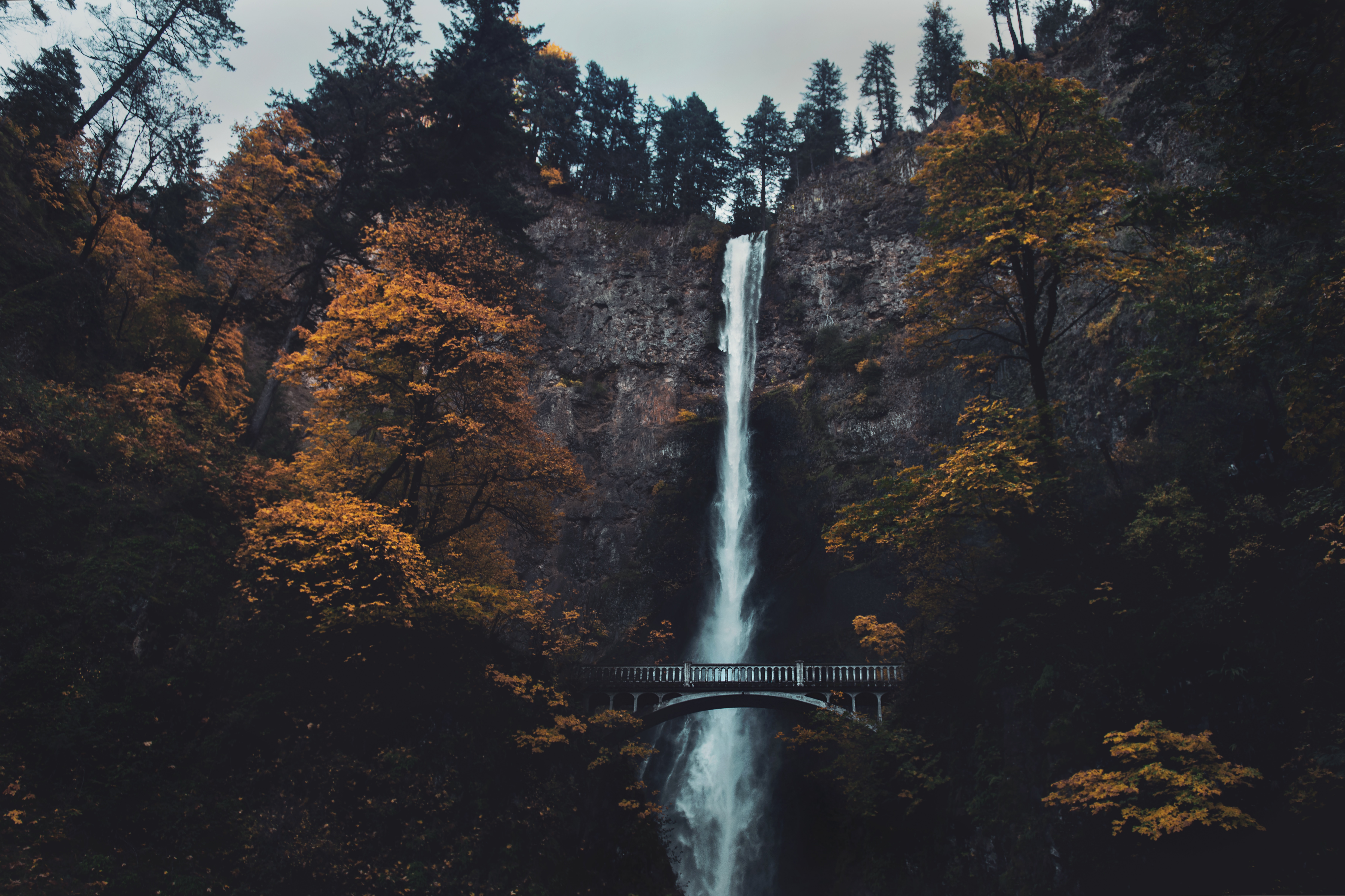 waterfall, nature, water, trees, break, precipice, bridge HD wallpaper