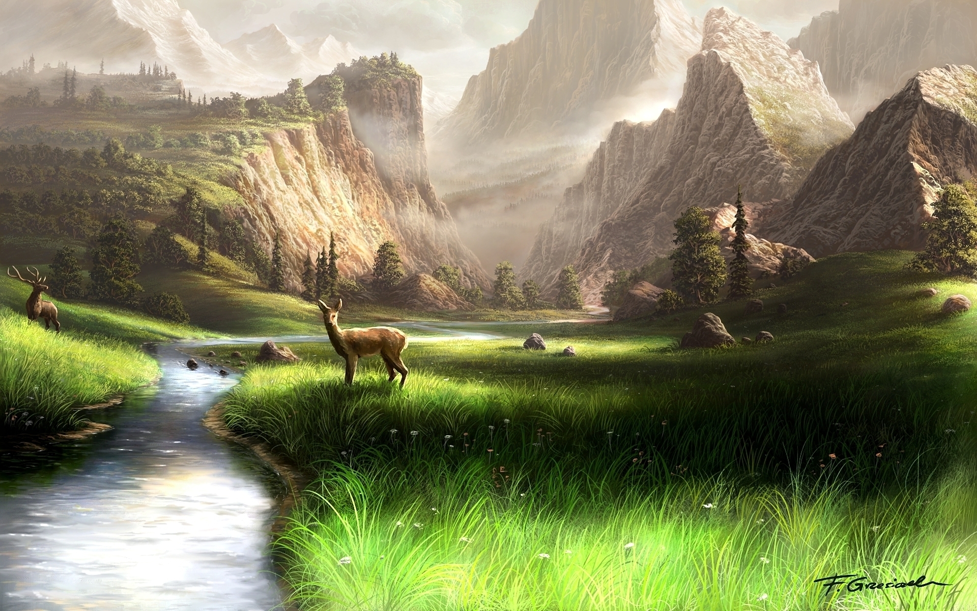  Deers HQ Background Images